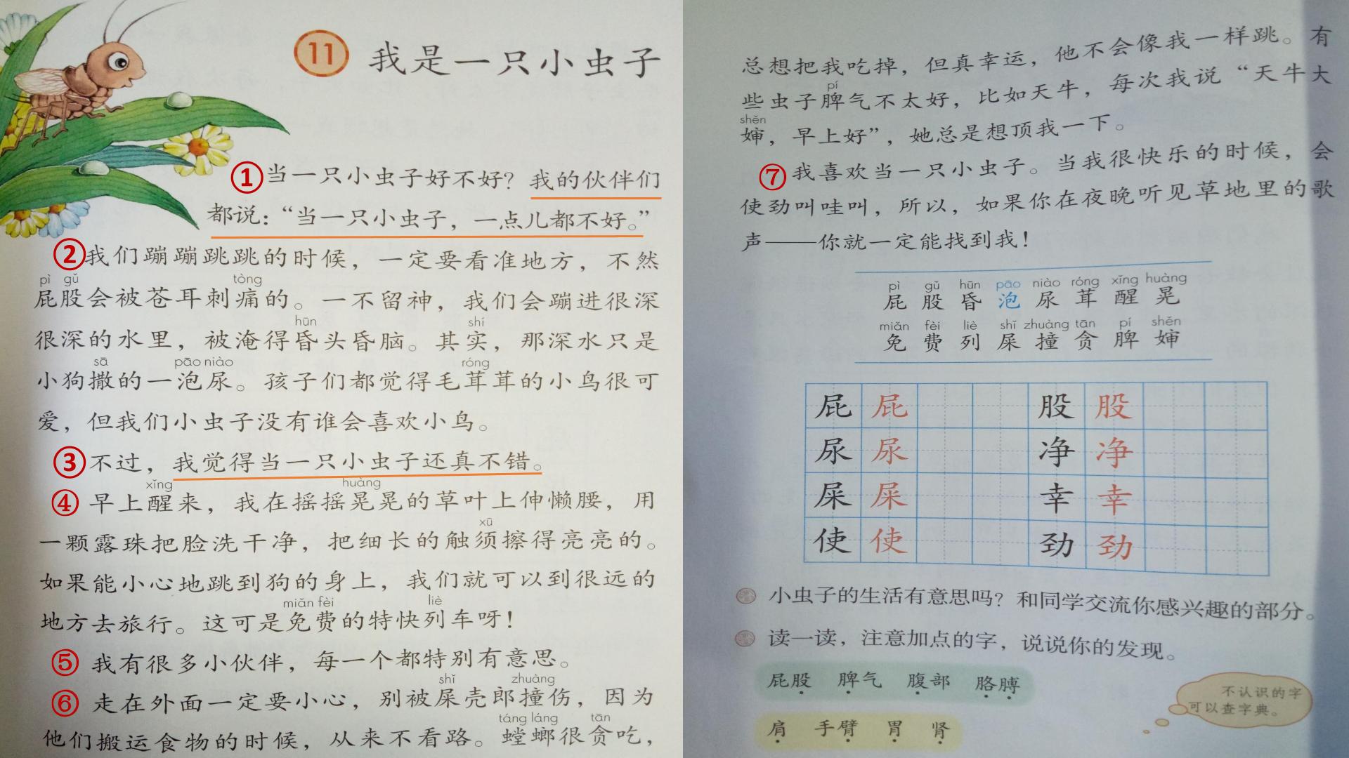 26.jpg
