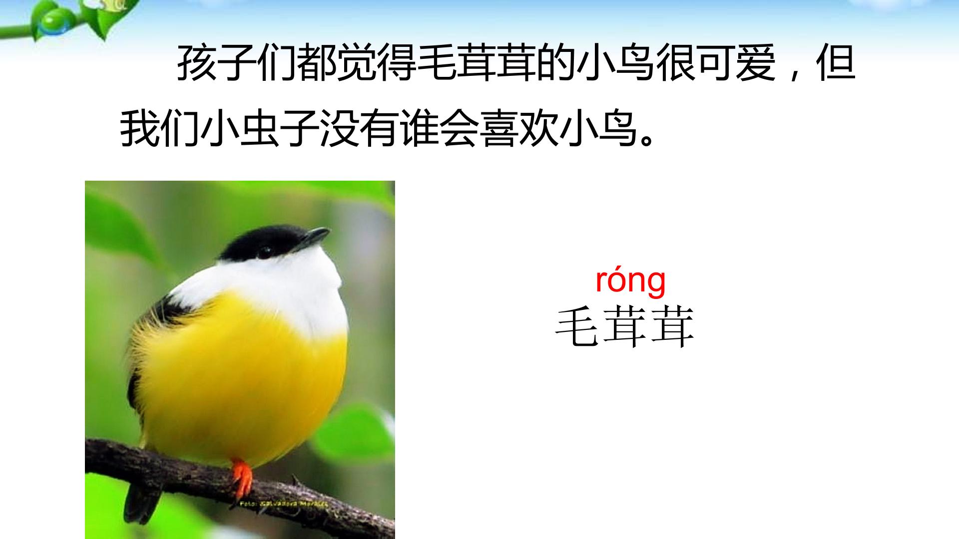 33.jpg