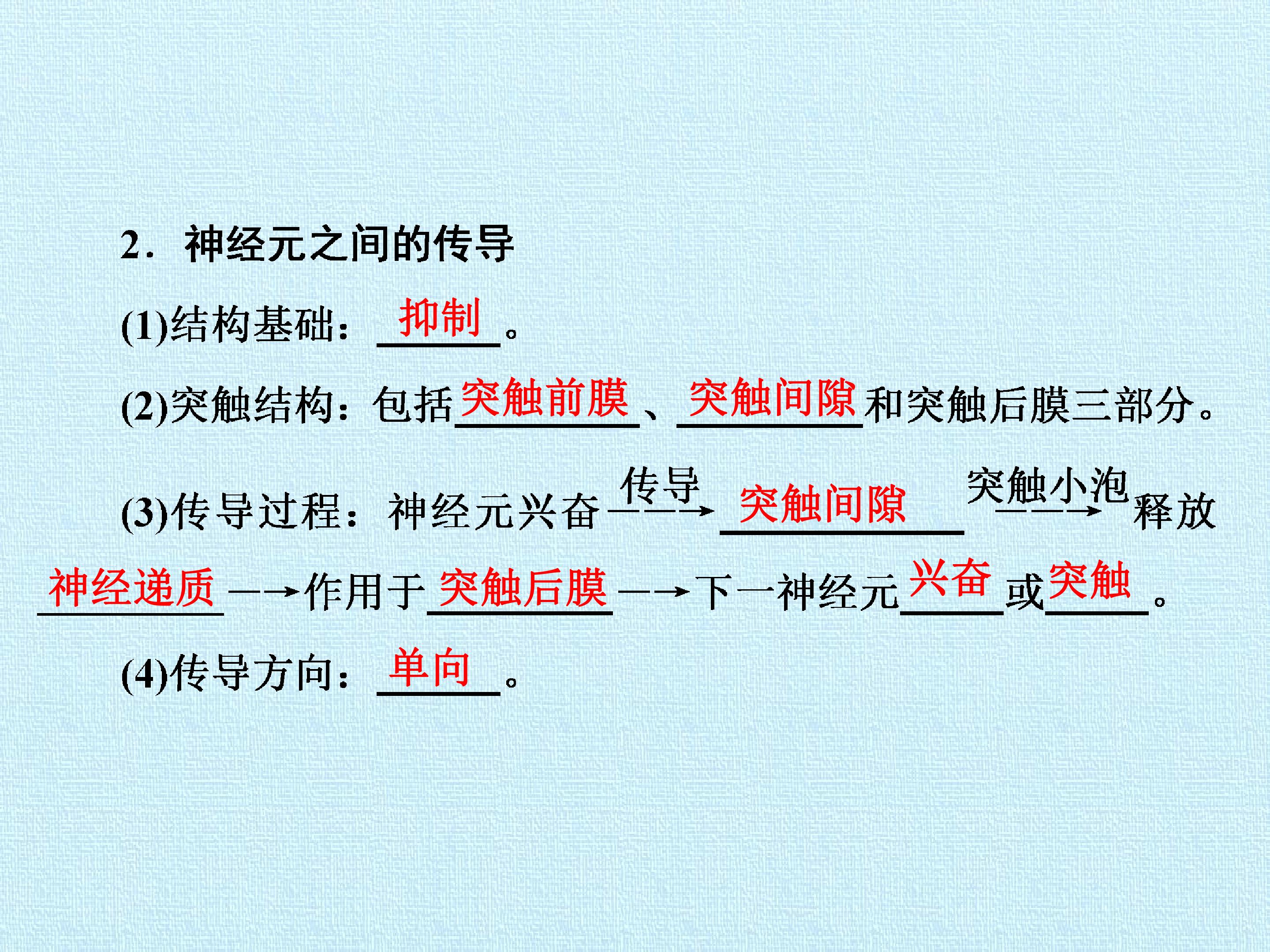 103.jpg