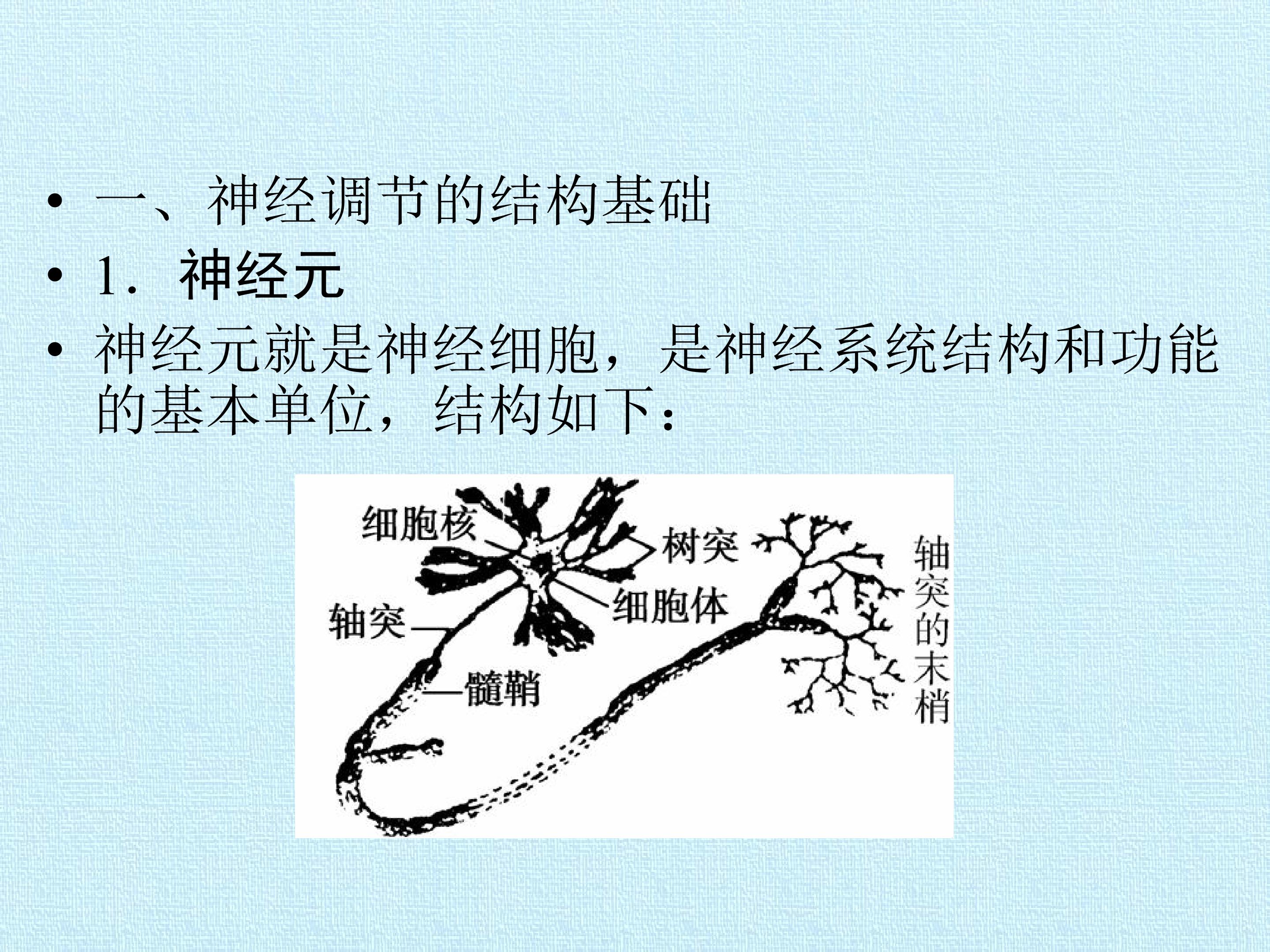 107.jpg