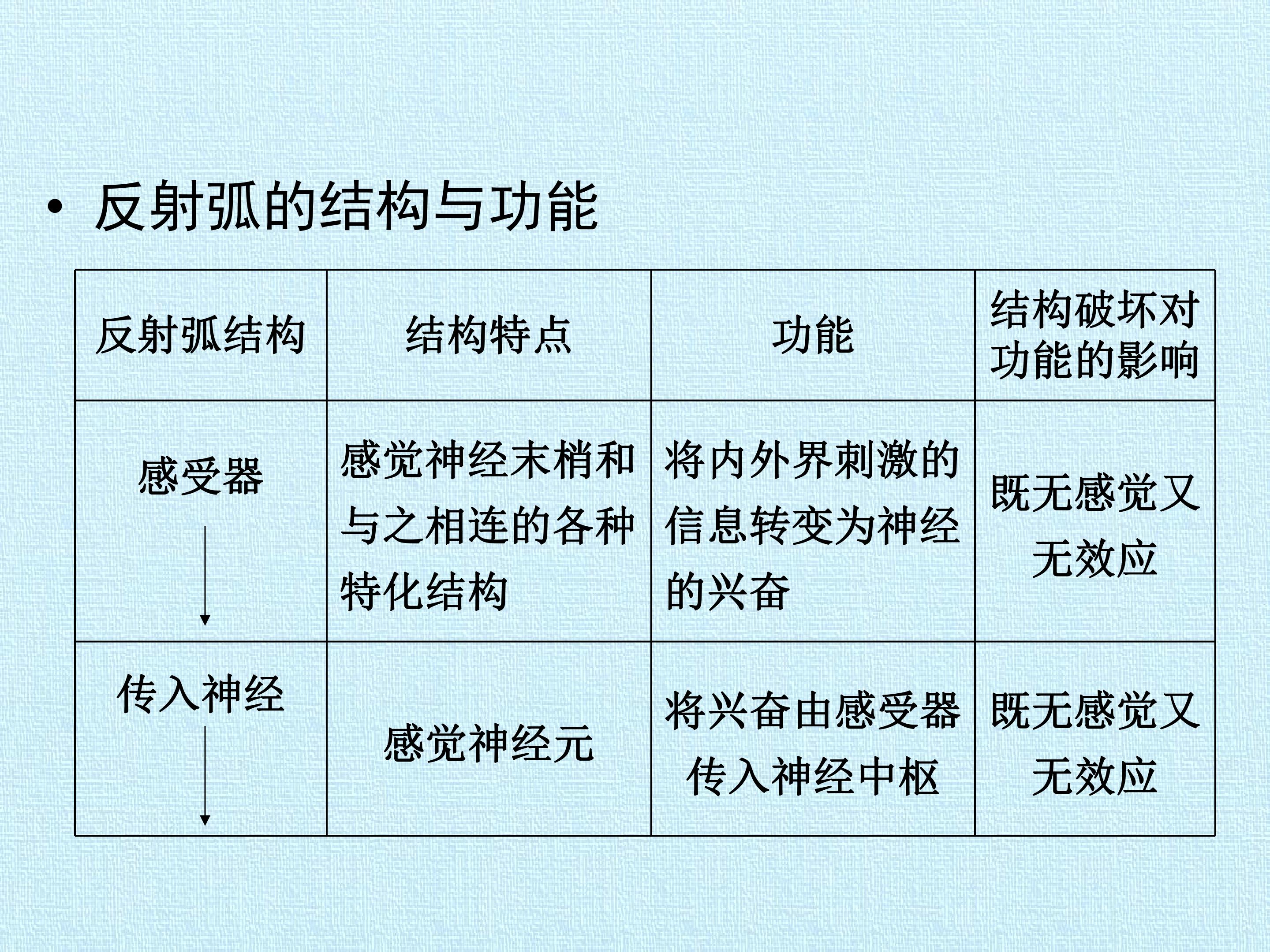 110.jpg