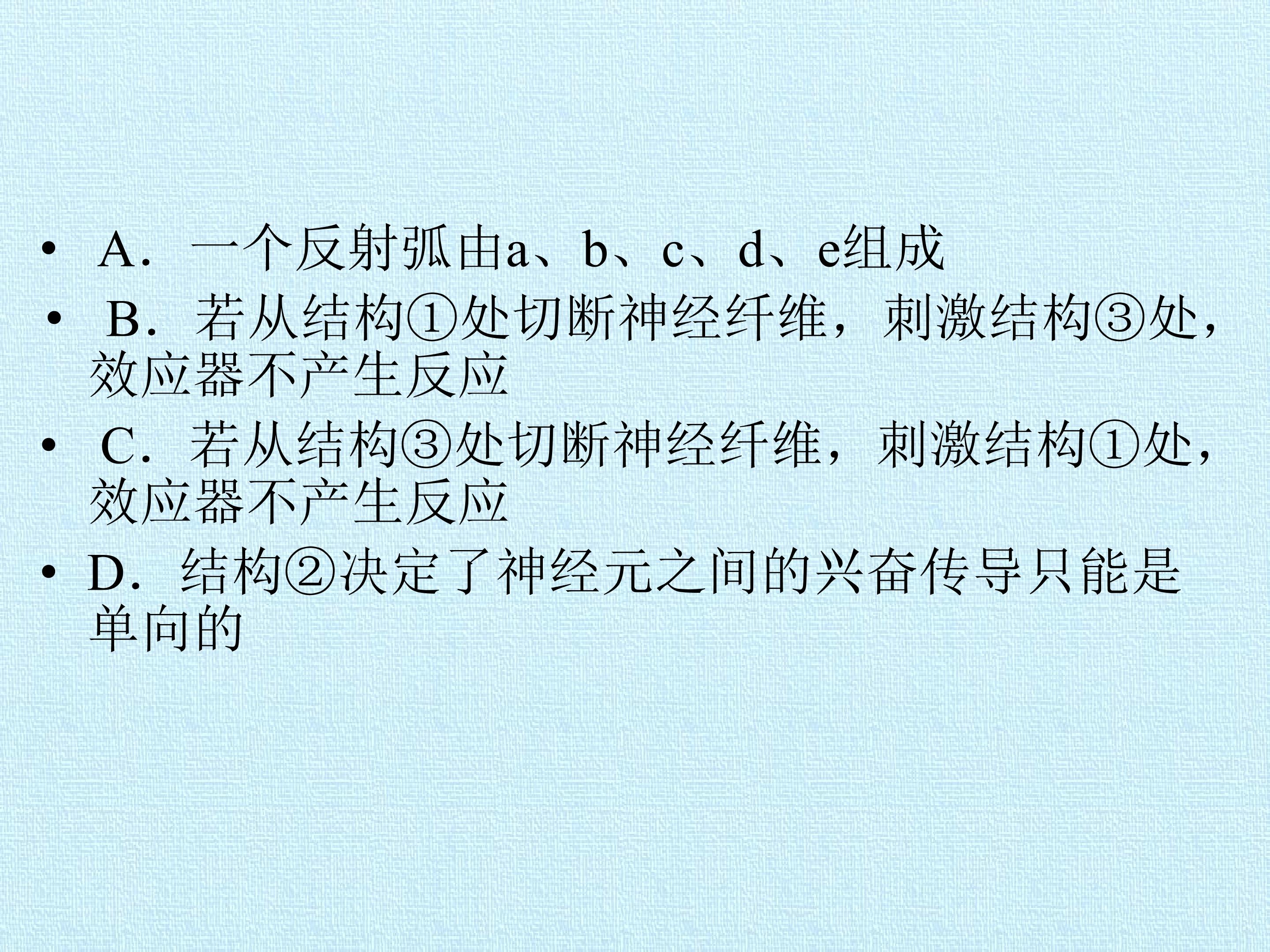 113.jpg
