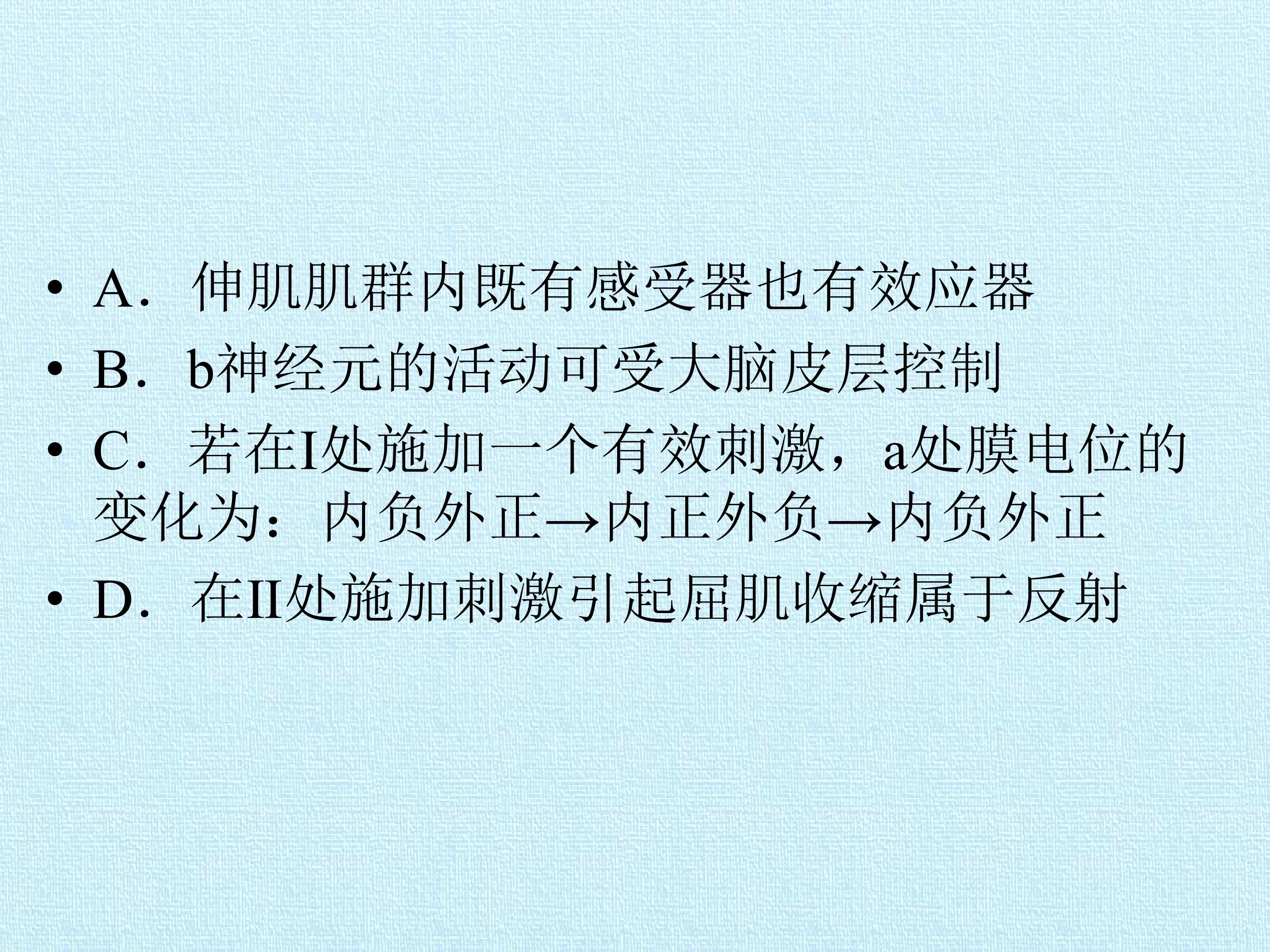 117.jpg