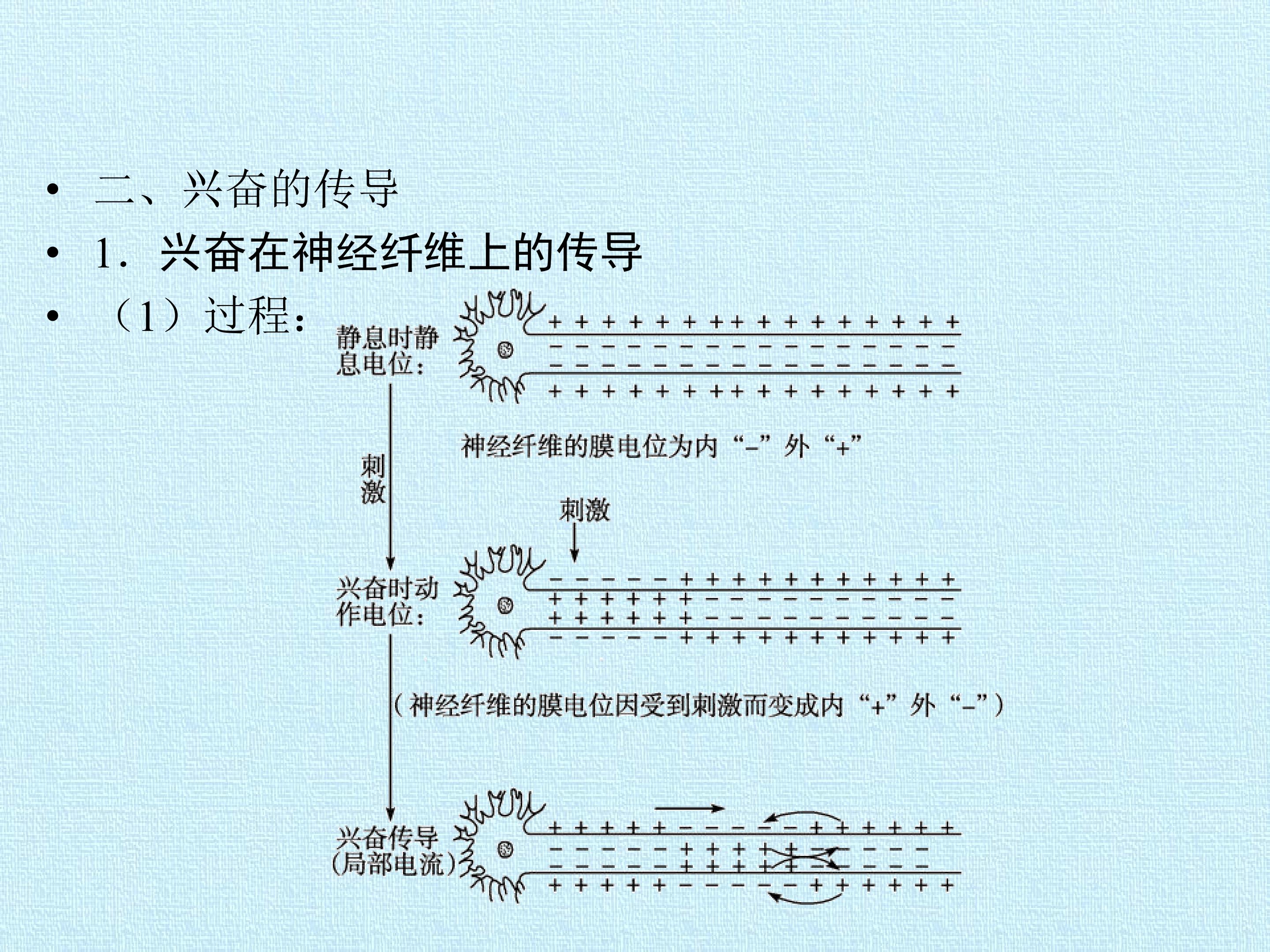 119.jpg