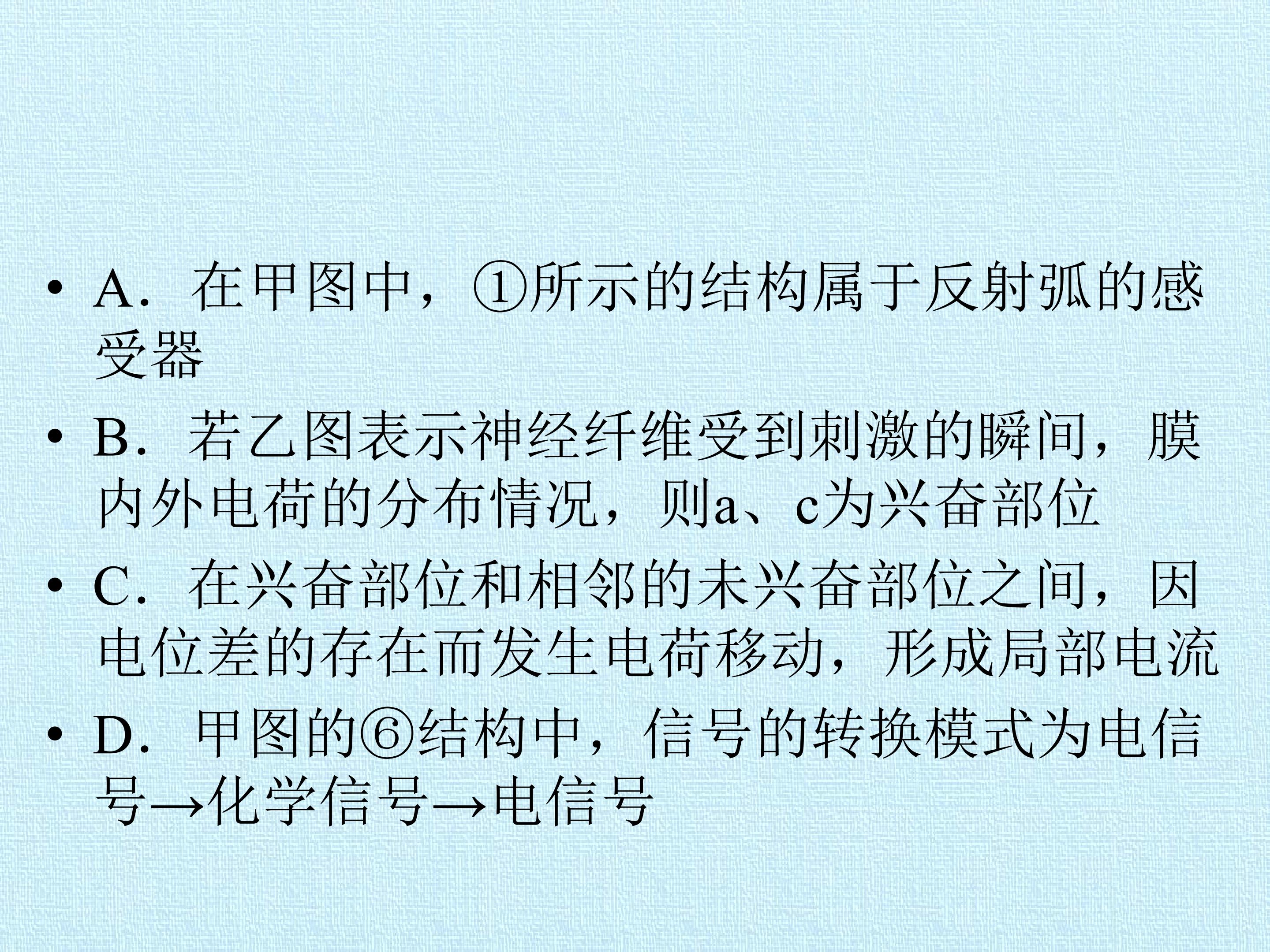 132.jpg