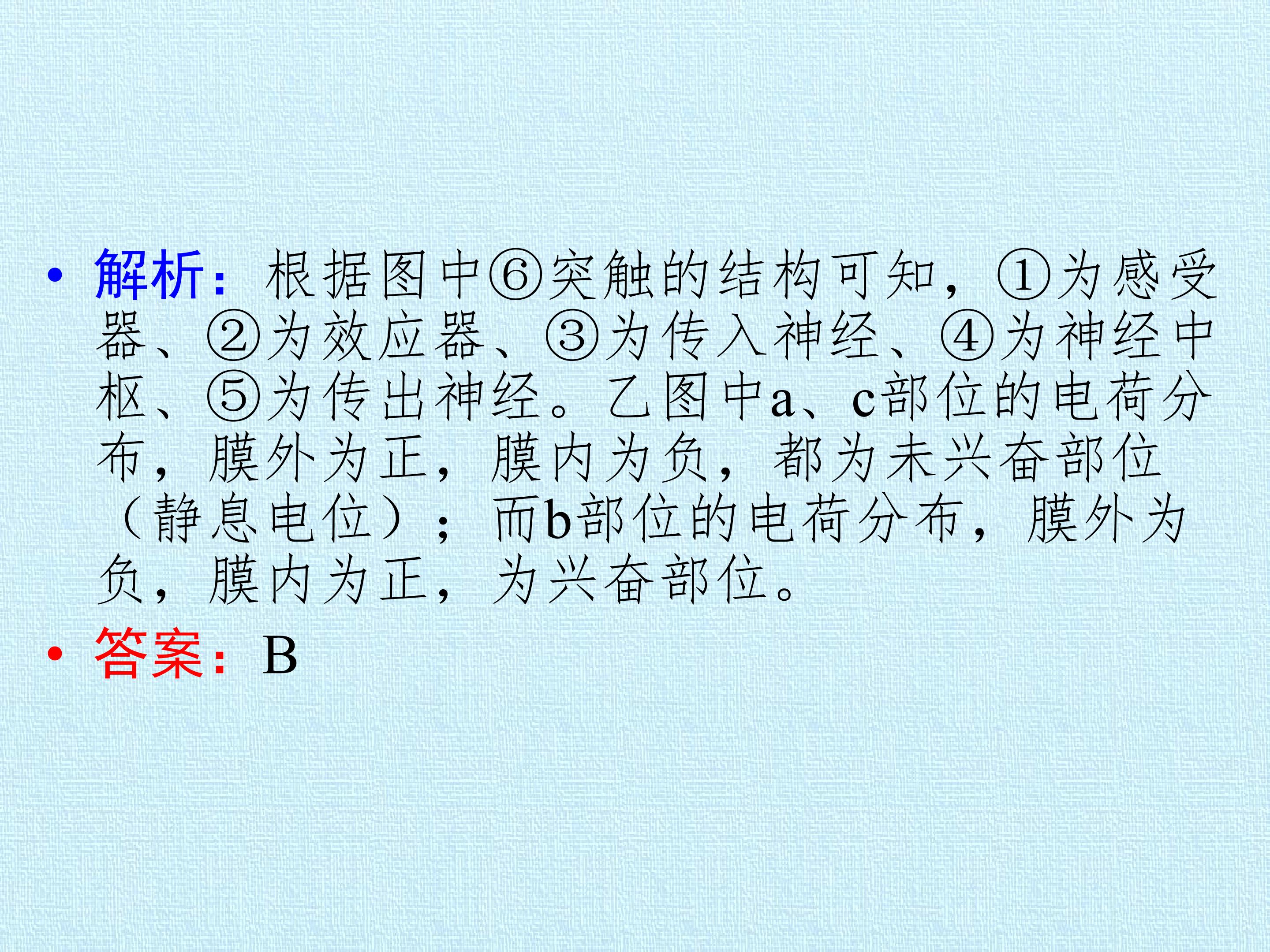 133.jpg