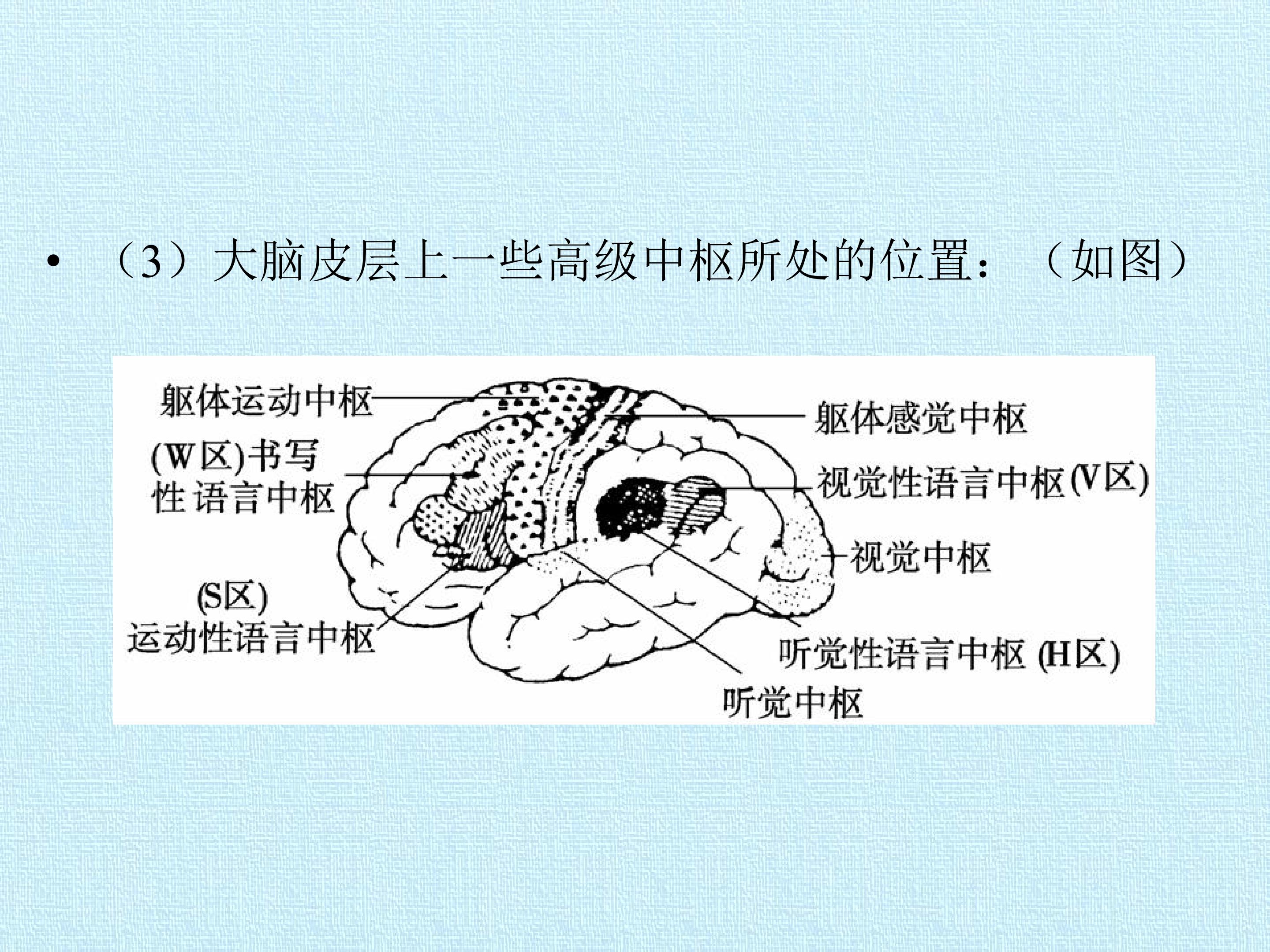 136.jpg