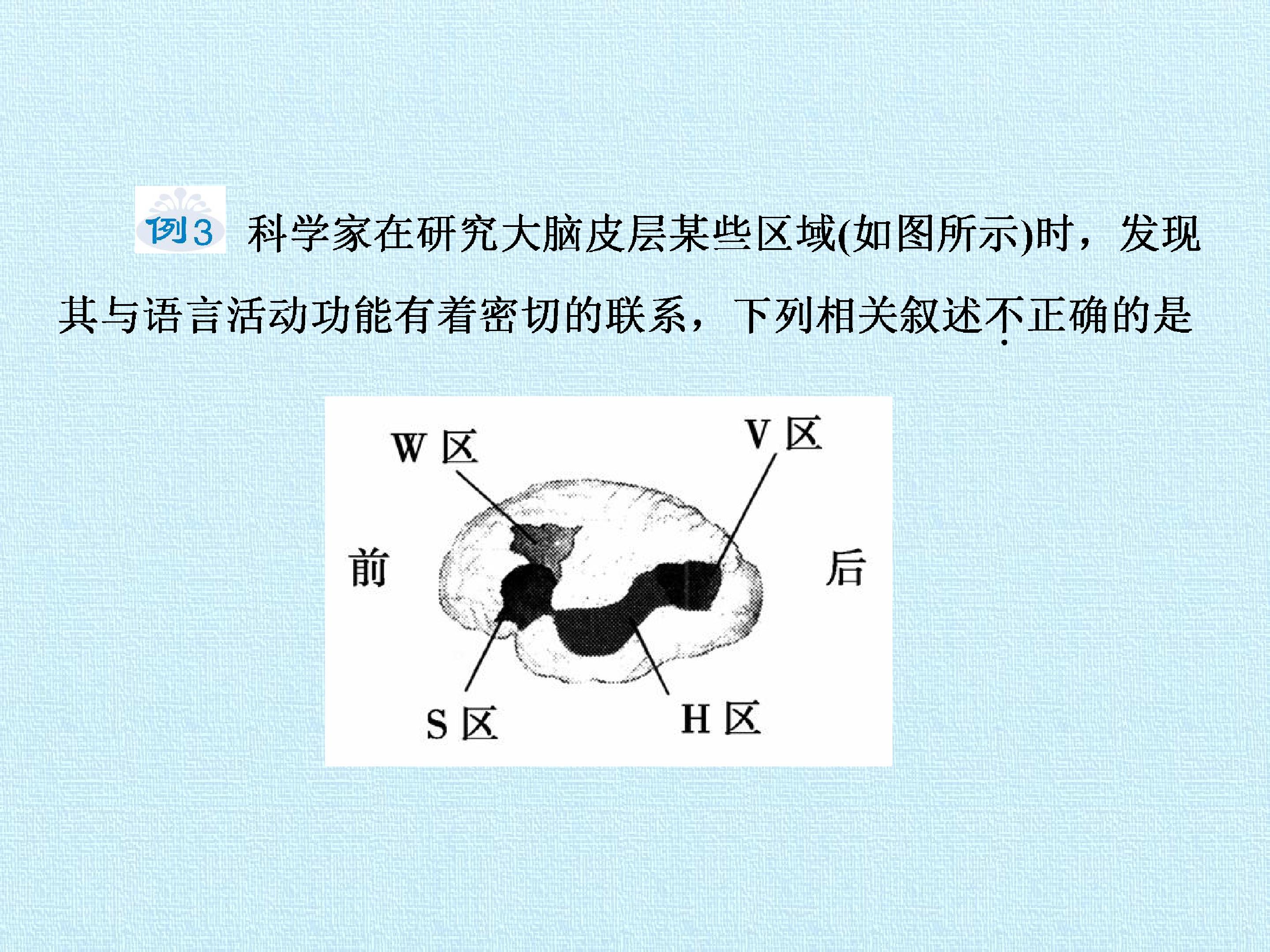 137.jpg