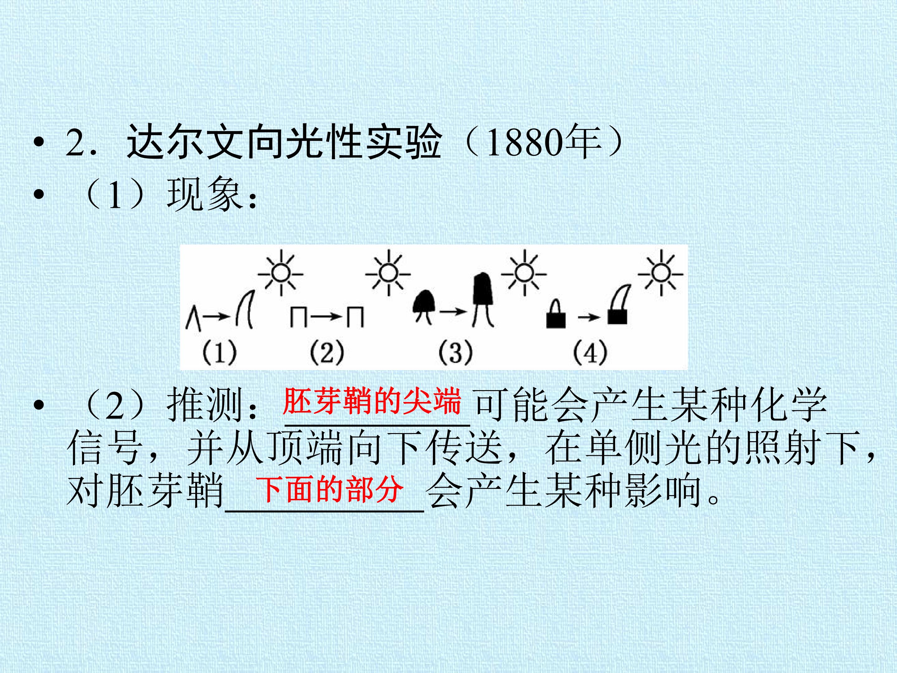 190.jpg