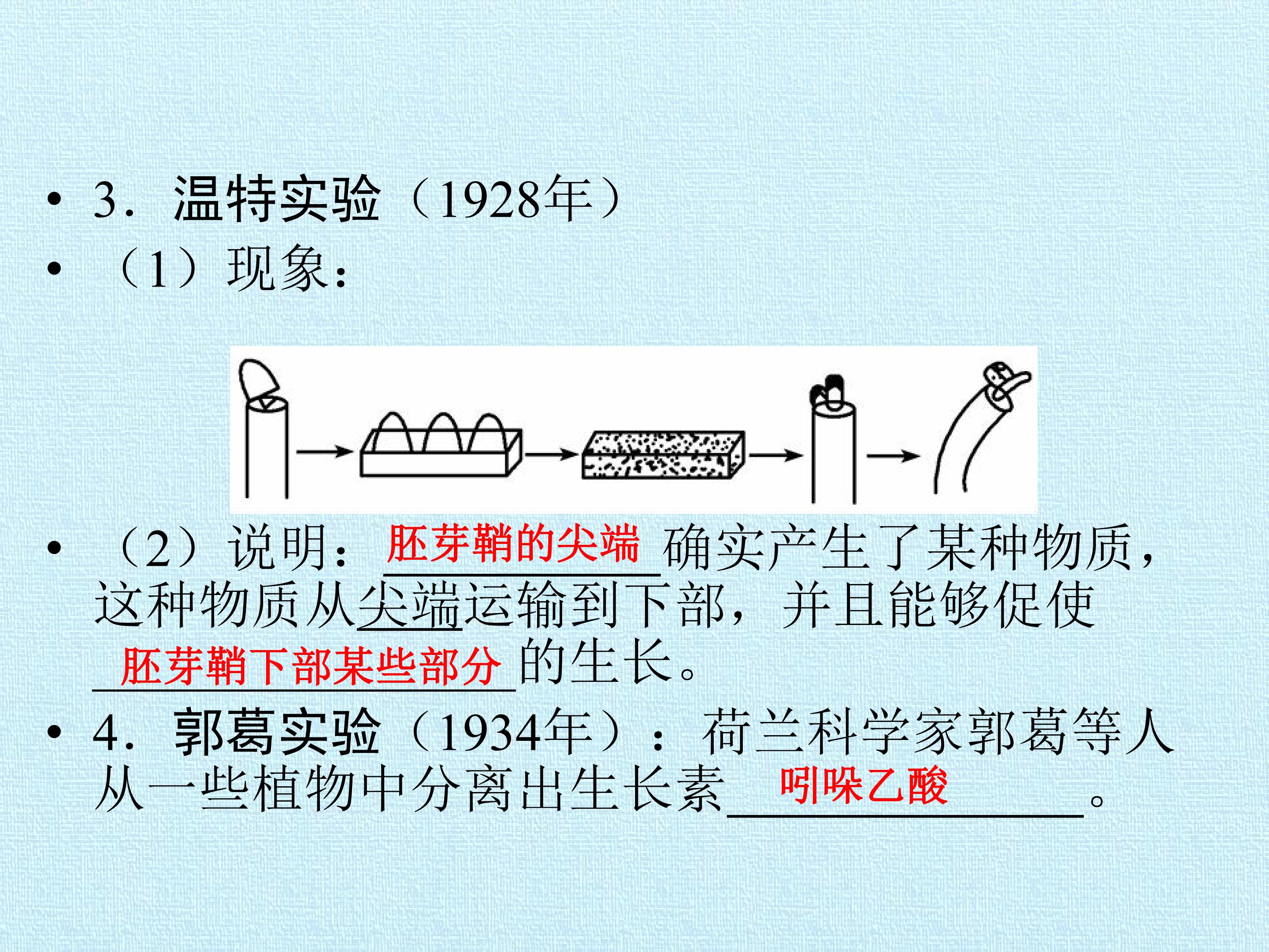 191.jpg