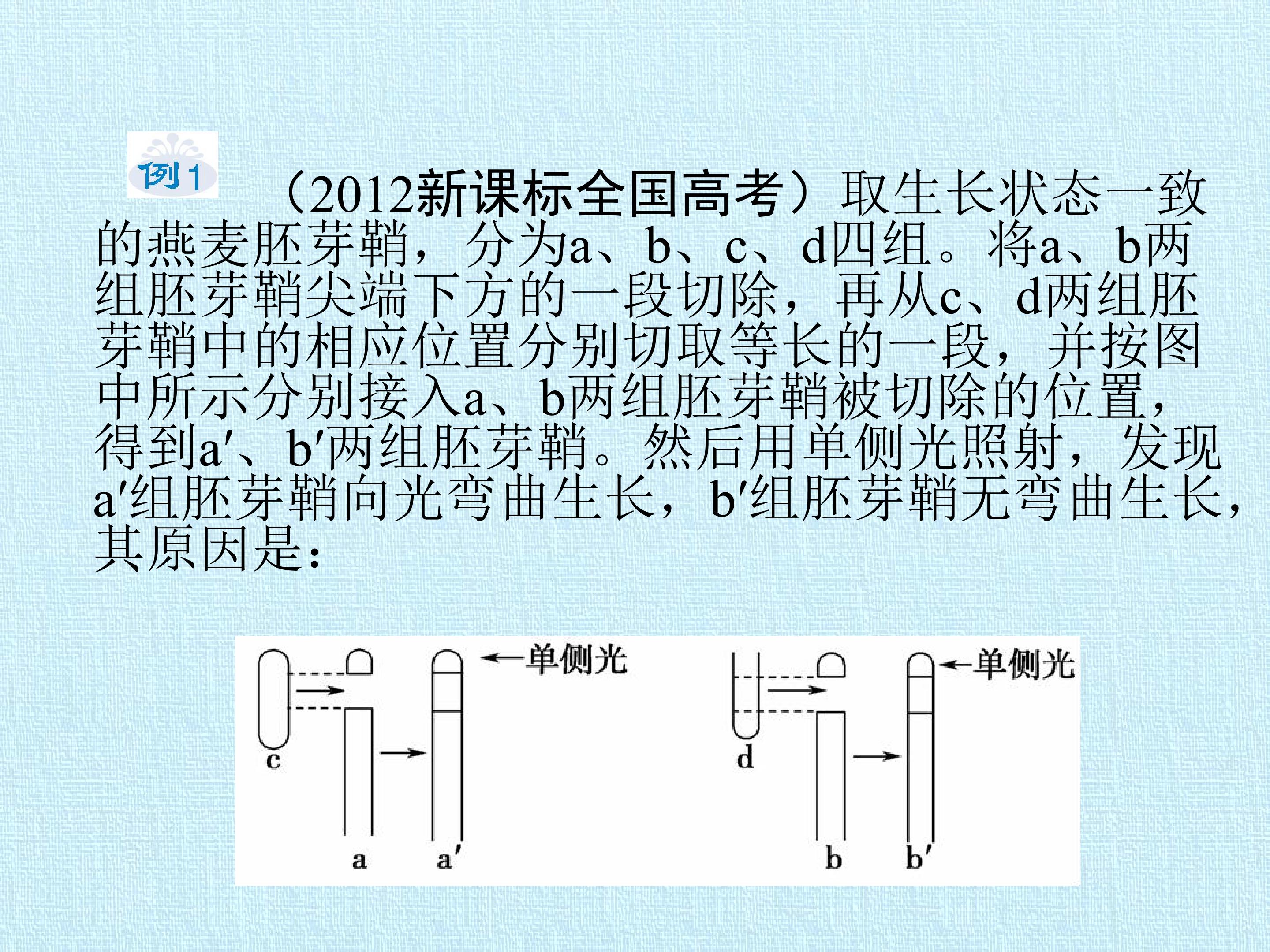 203.jpg