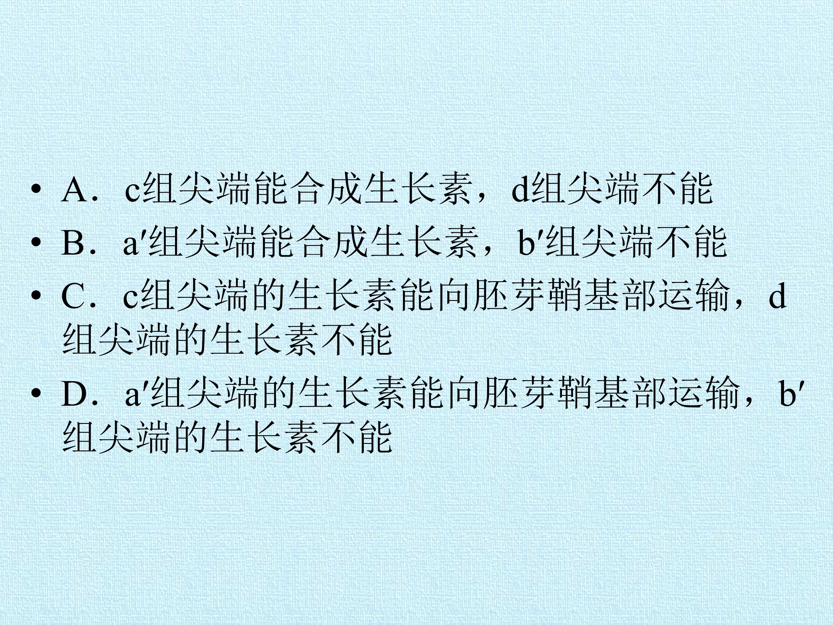 204.jpg