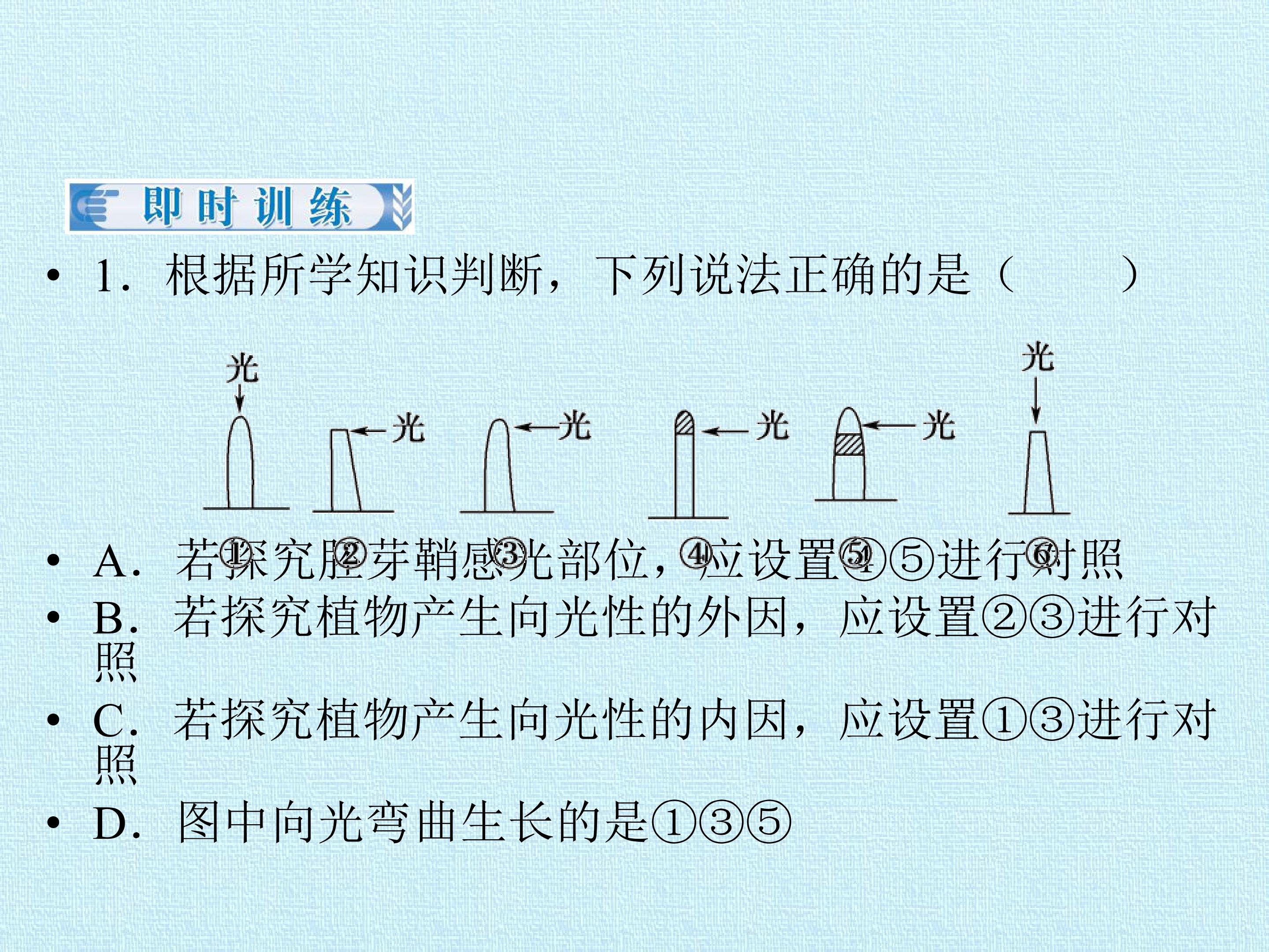 206.jpg