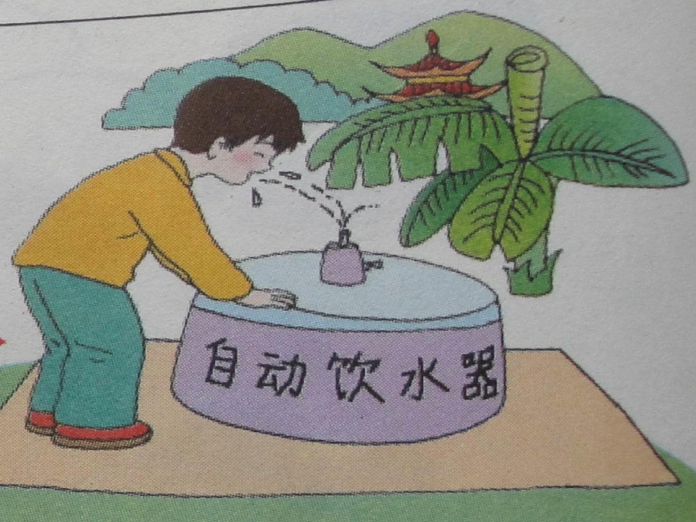 15.jpg