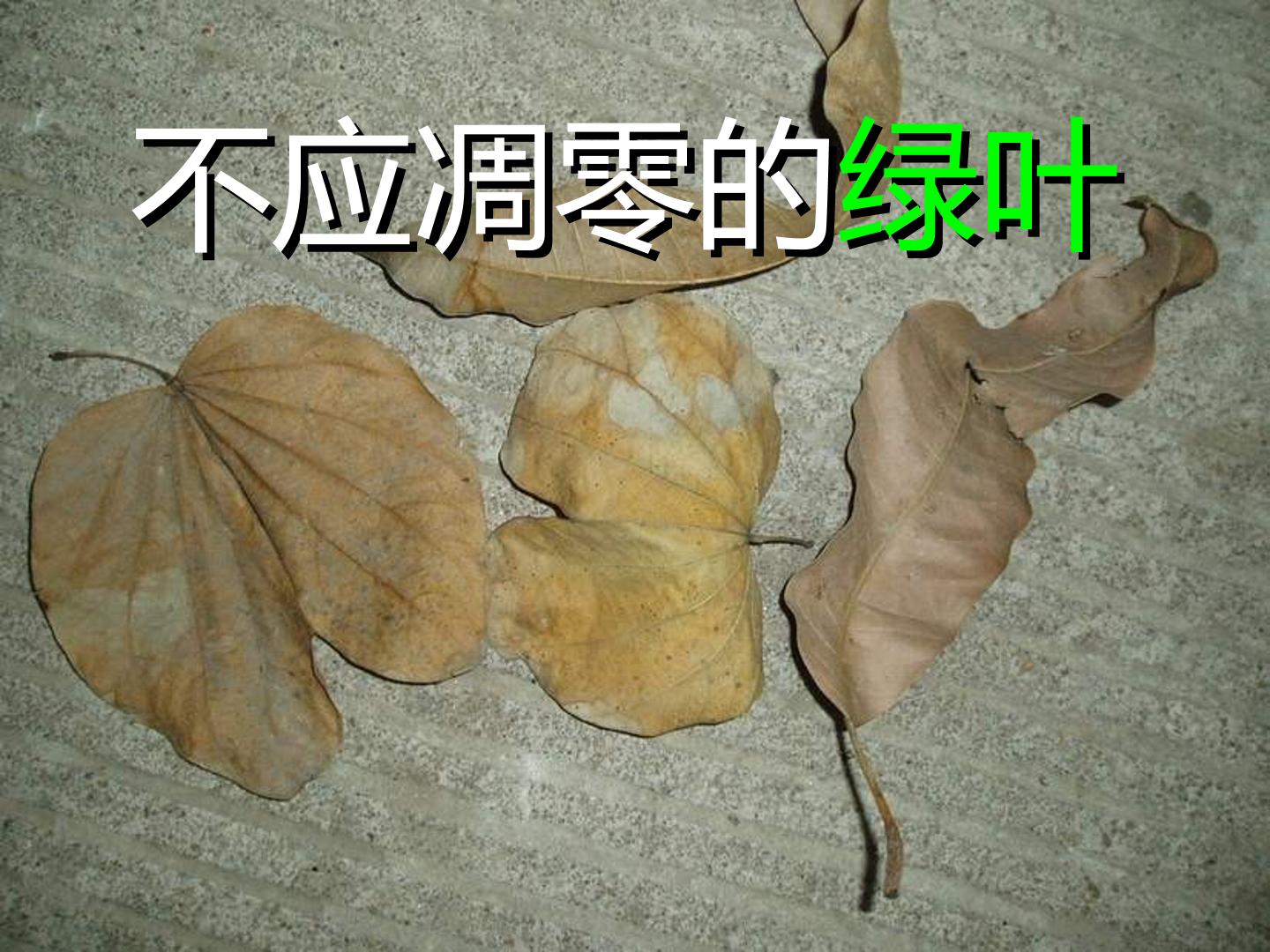 37.jpg