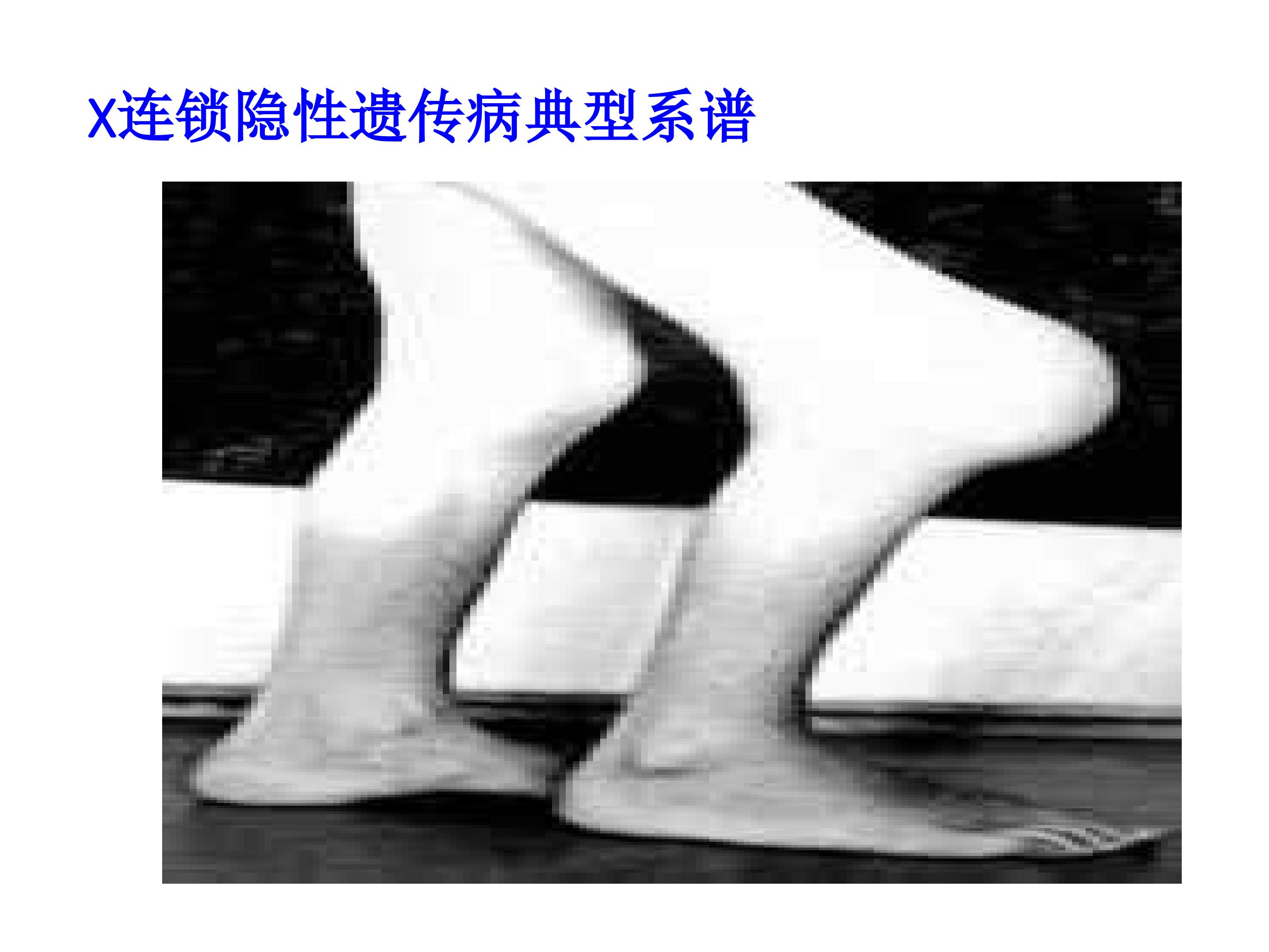 42.jpg