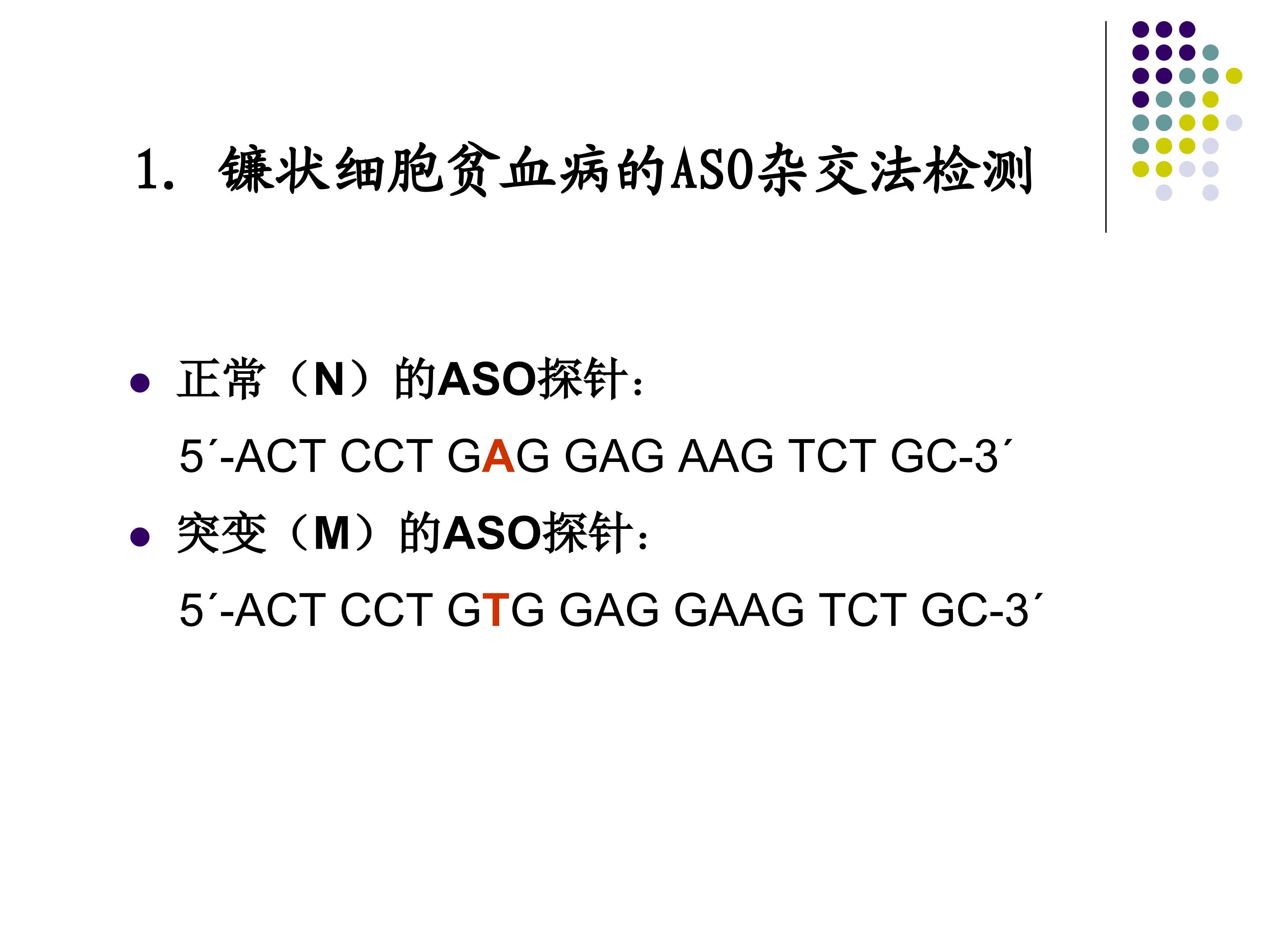59.jpg