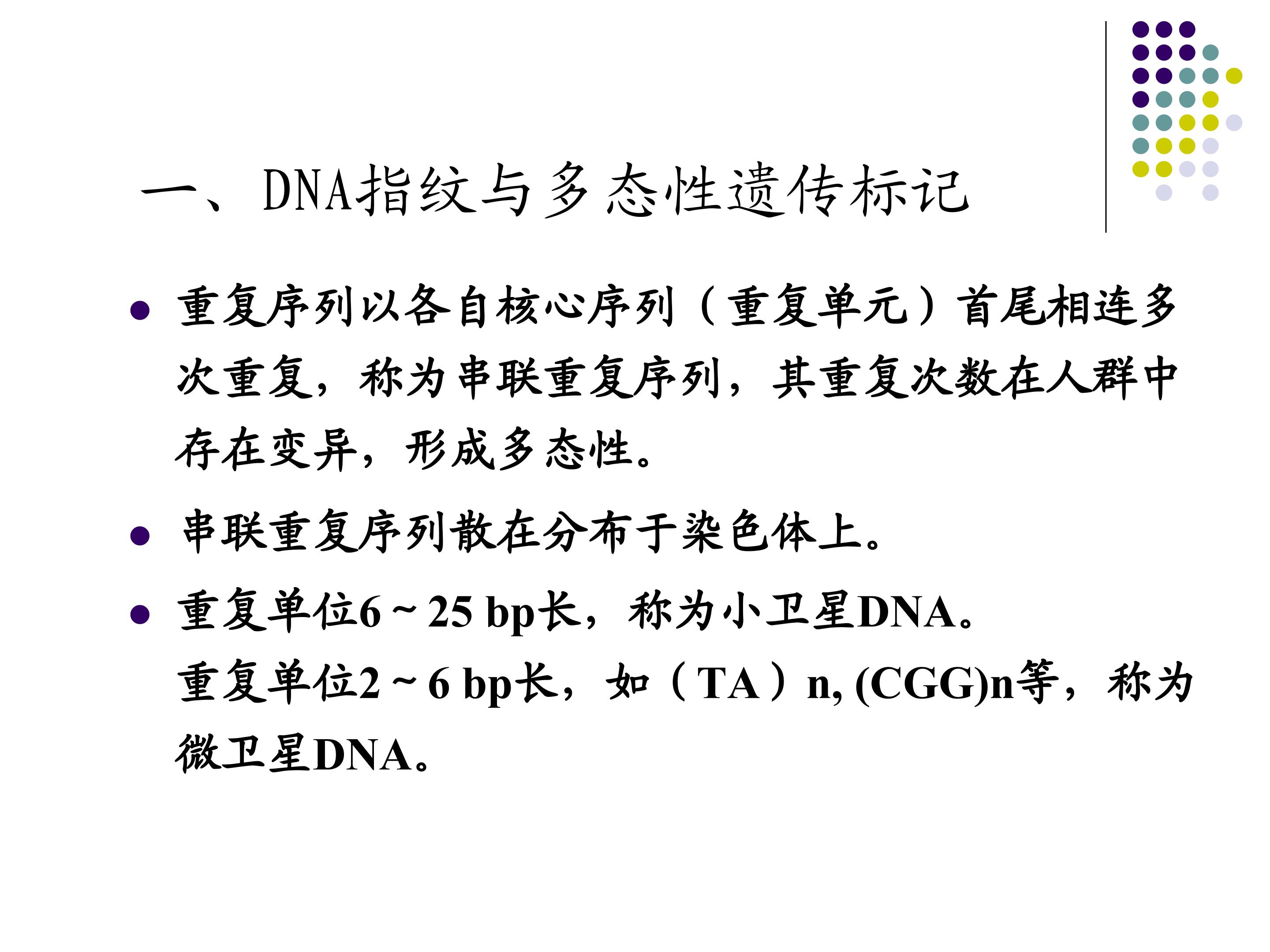 84.jpg