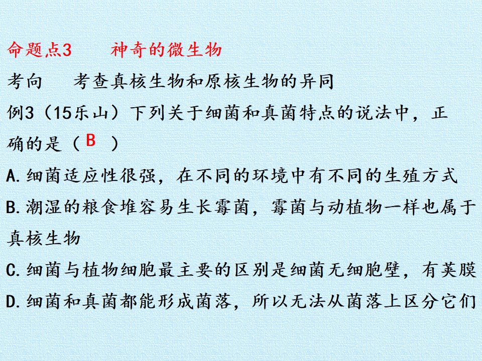 38.jpg