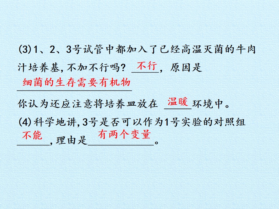 49.jpg