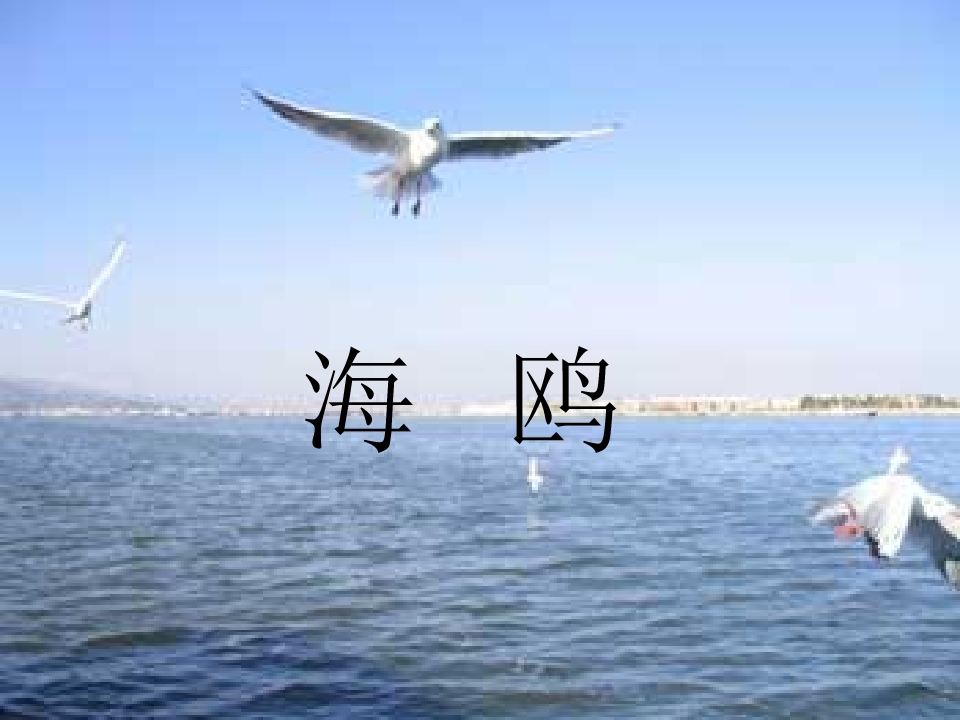 16.jpg