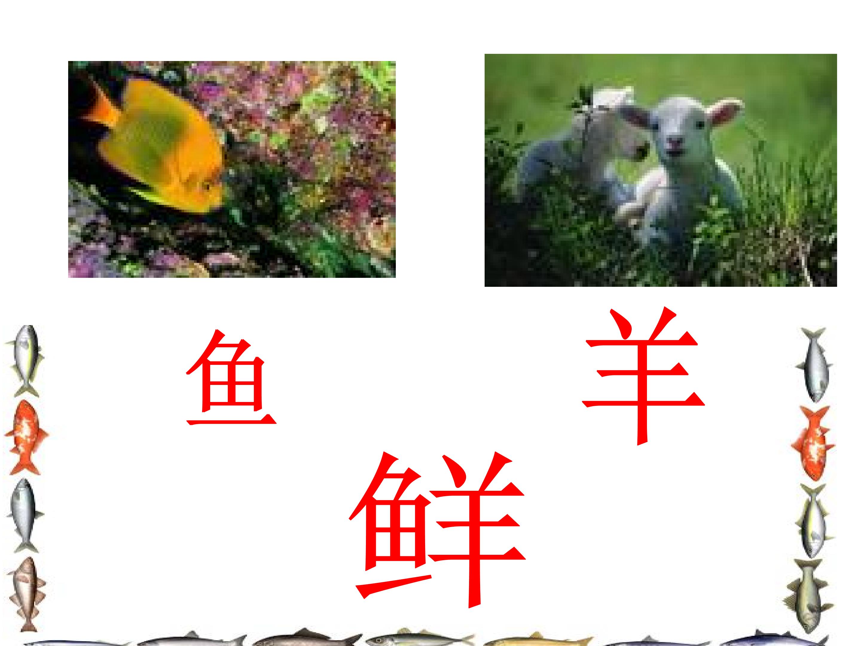 5_1562950277371.jpg