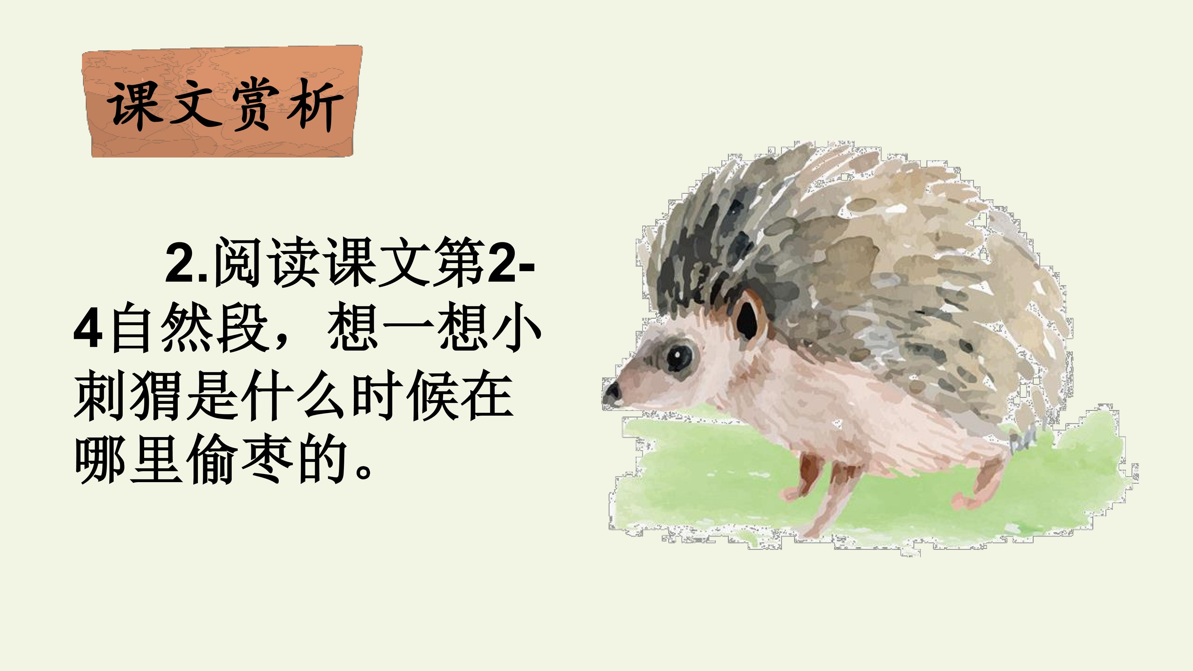 18.jpg