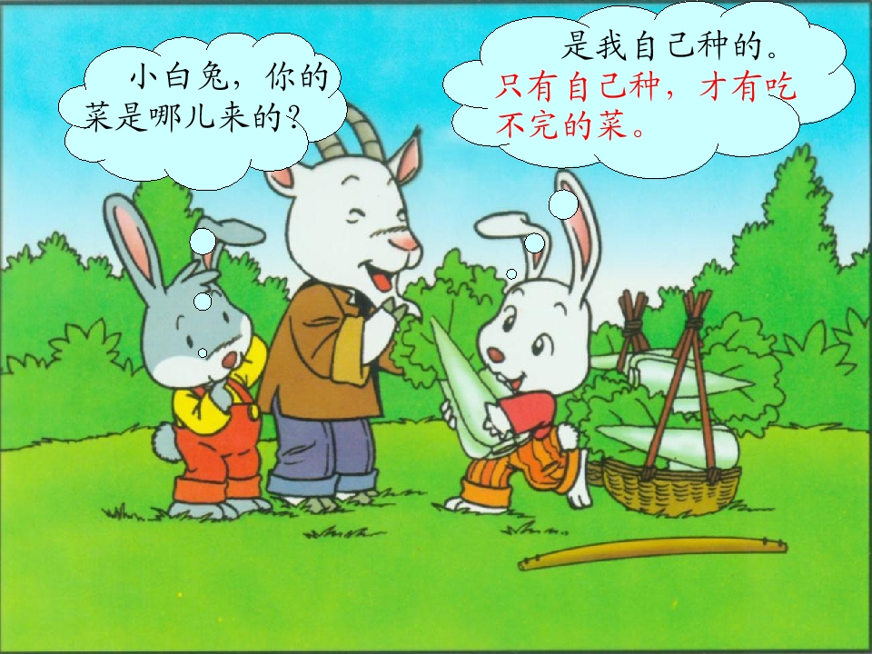 58.jpg