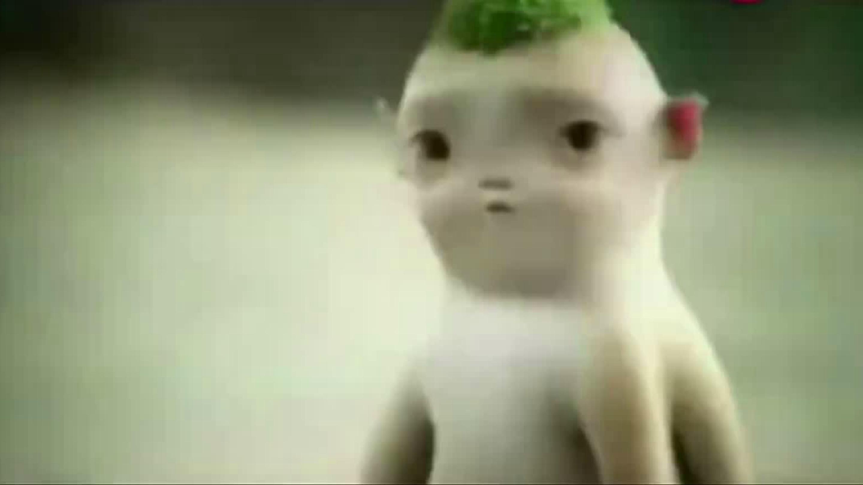 75.jpg