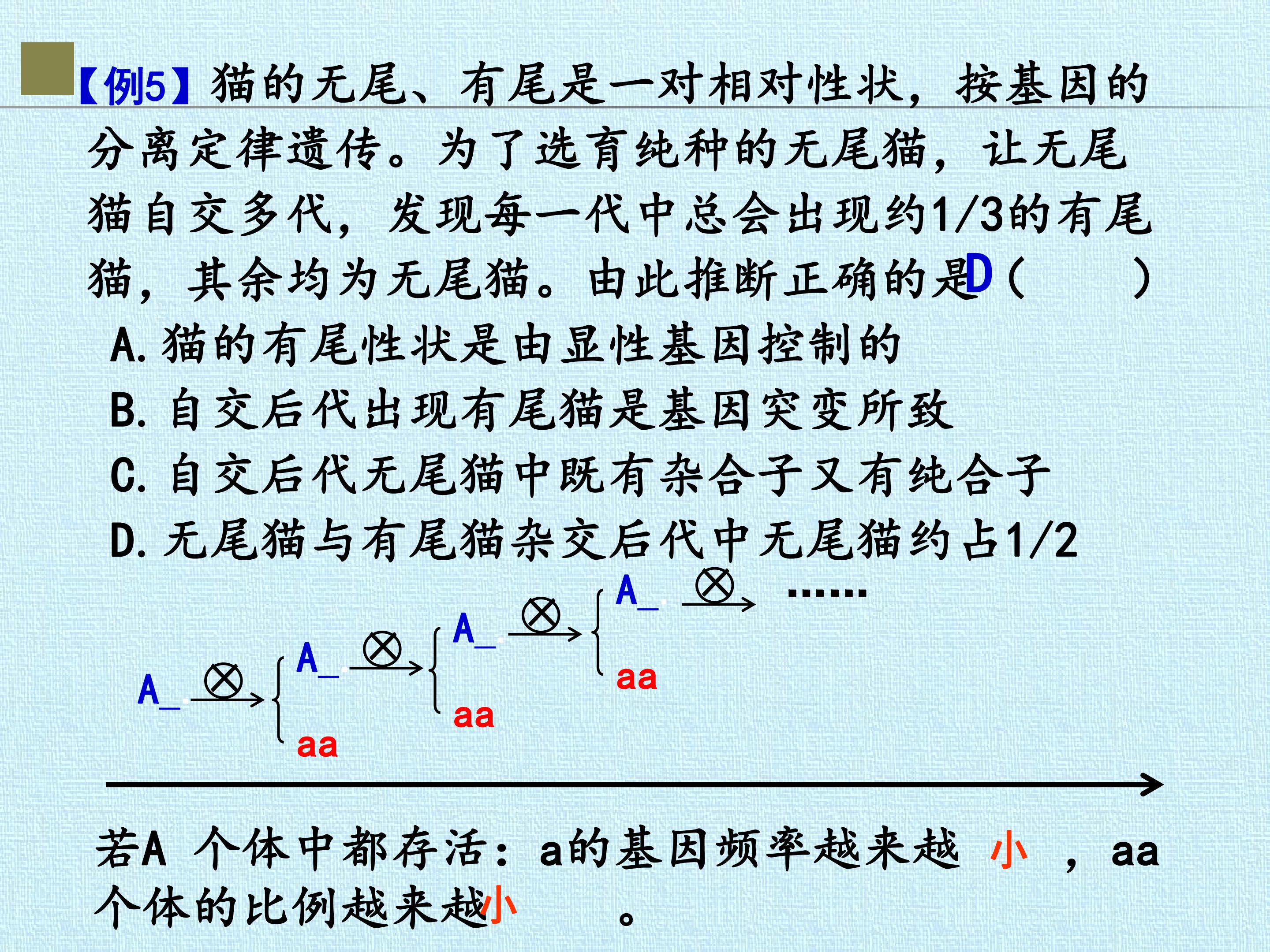 55.jpg