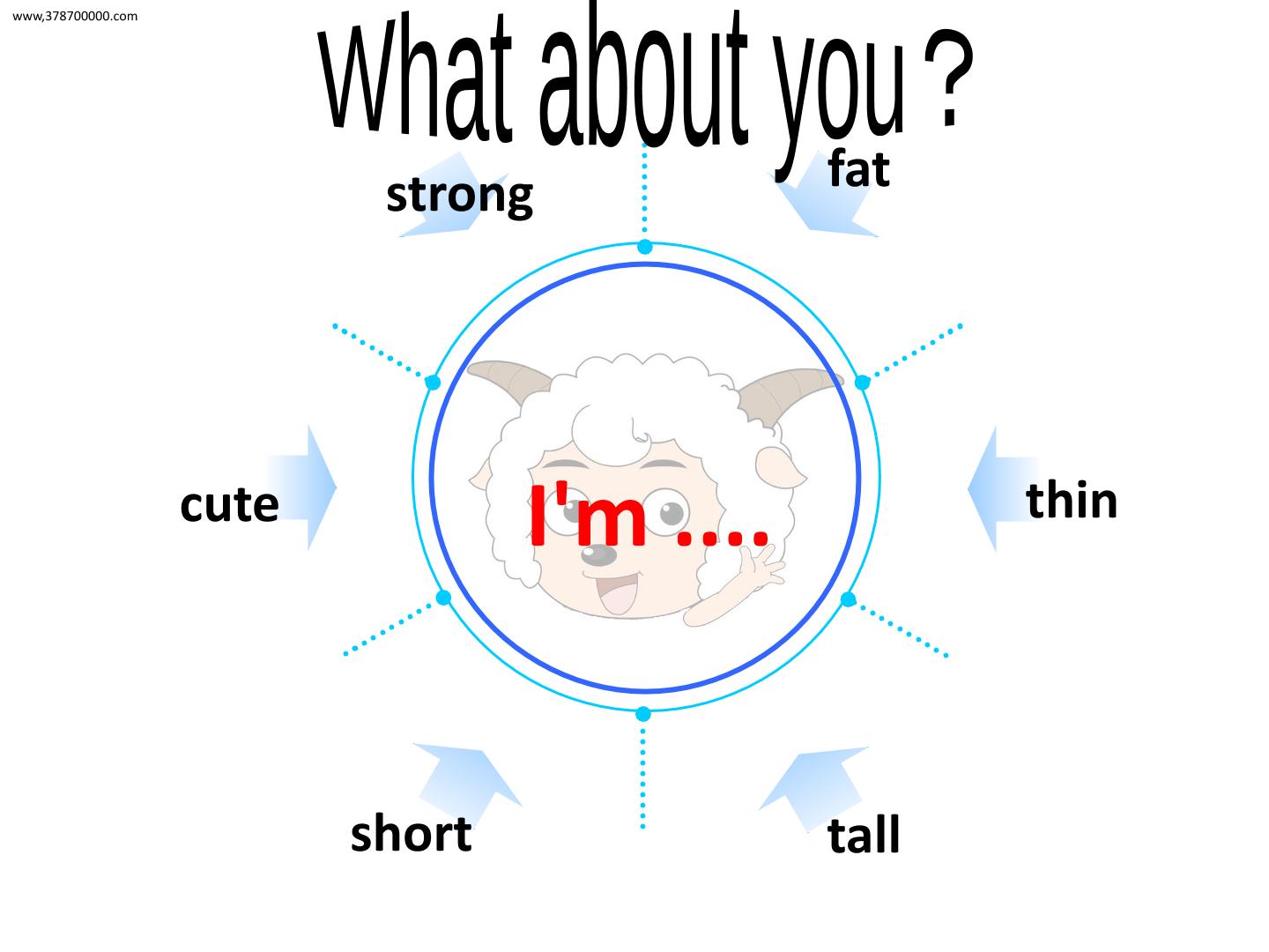 22.jpg