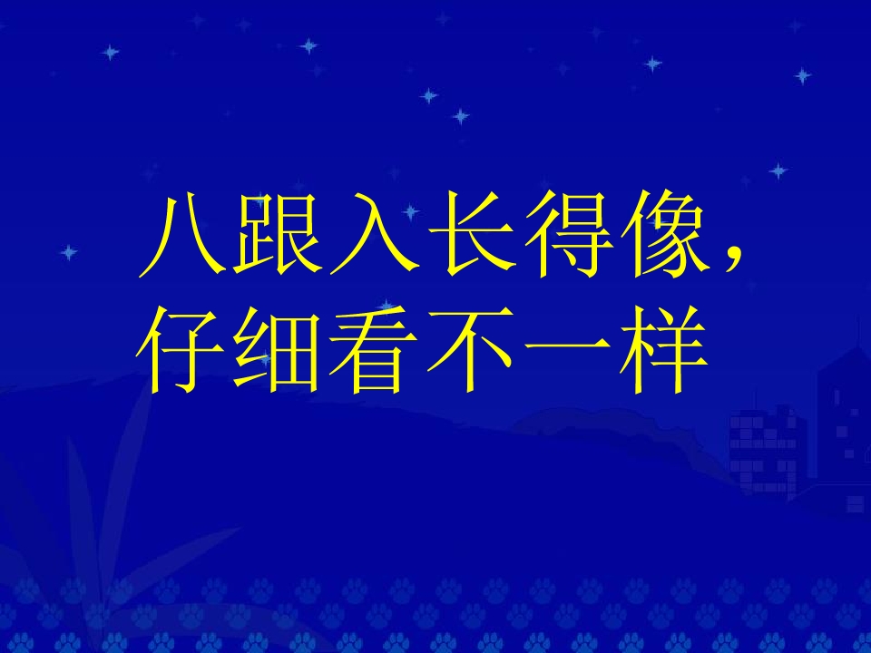 10.jpg(5)