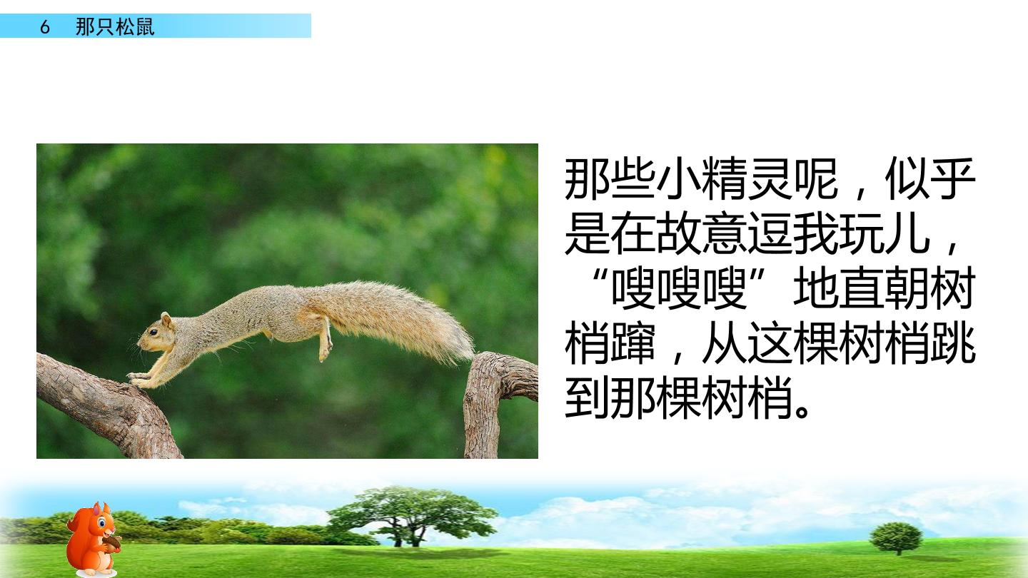 29.jpg