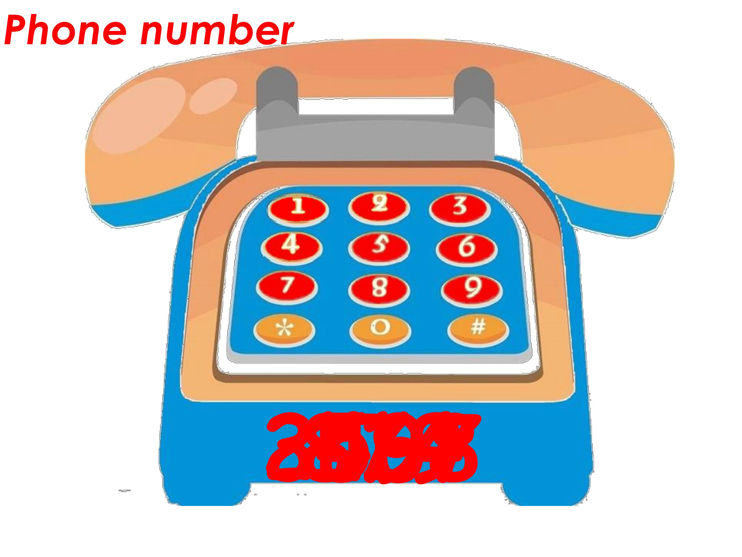 31.jpg