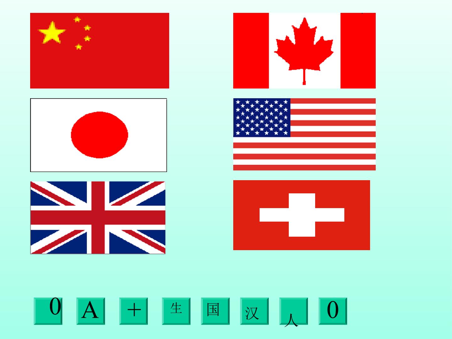 15.jpg