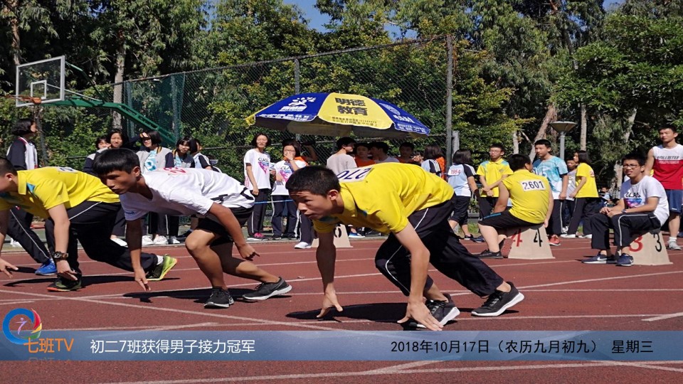 31.jpg