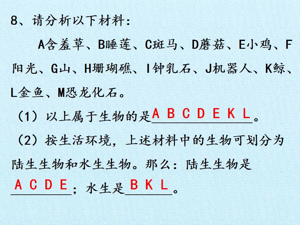 48.jpg