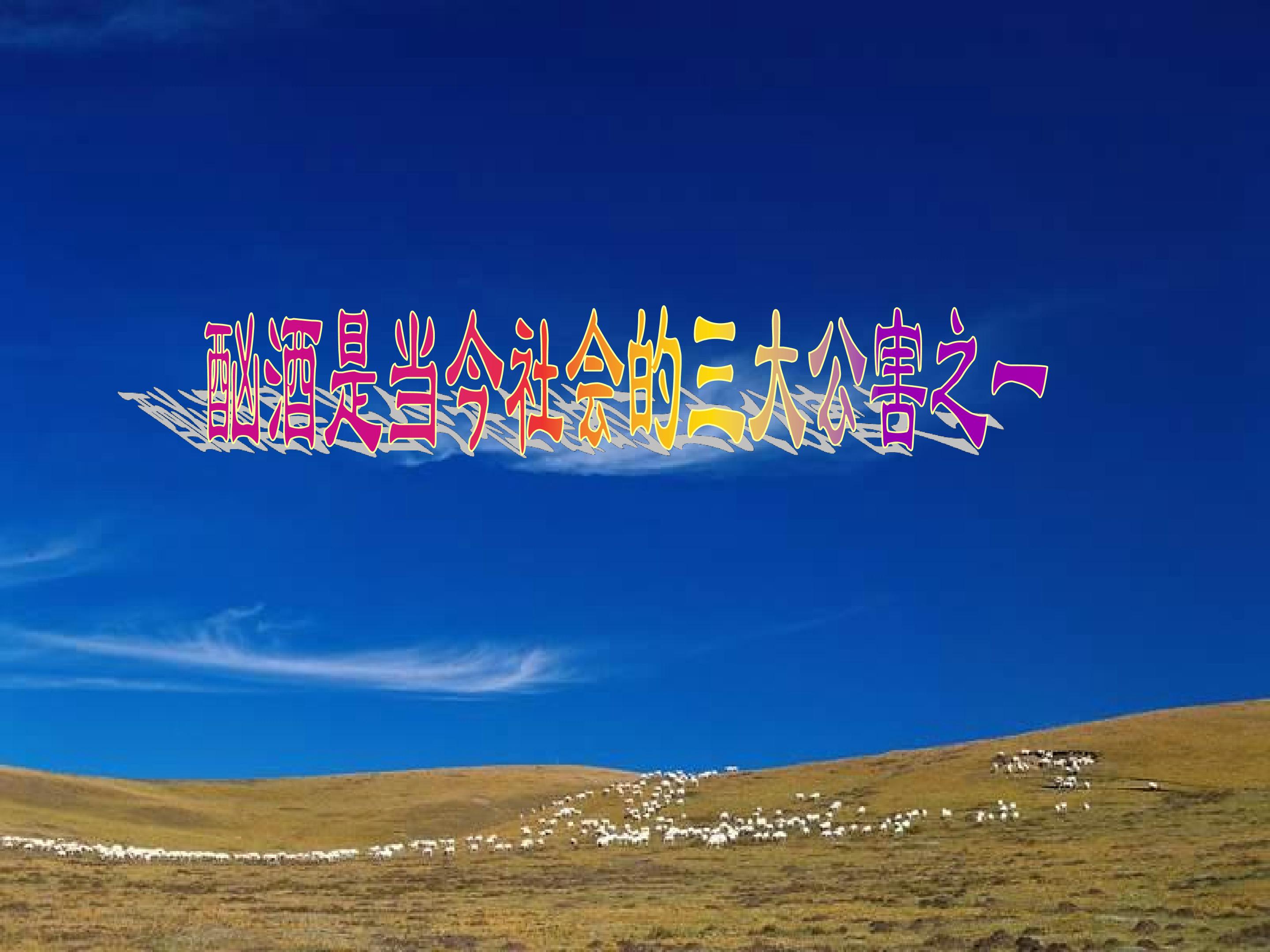 28.jpg