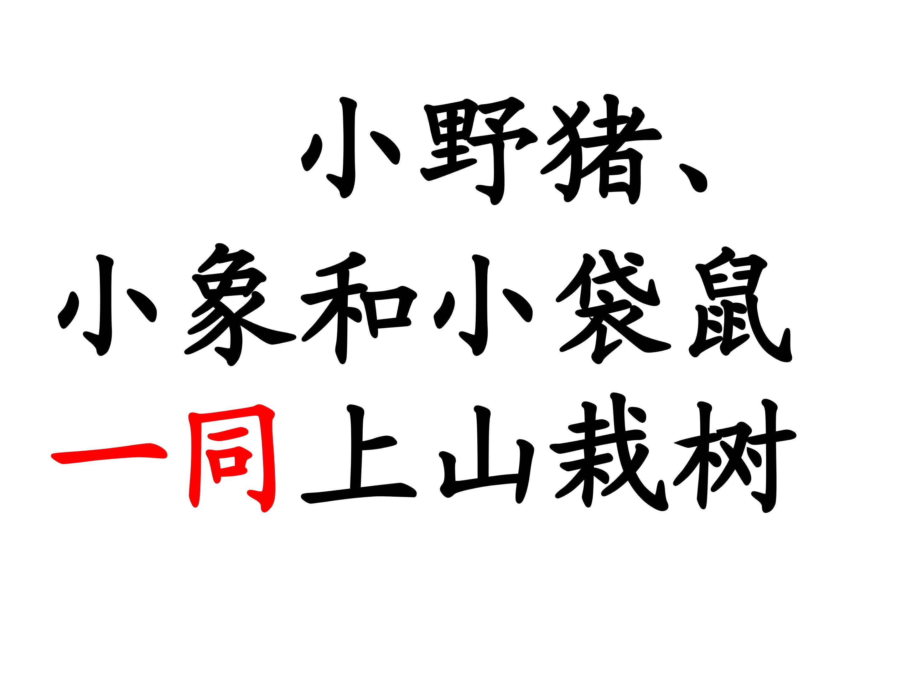 13.jpg