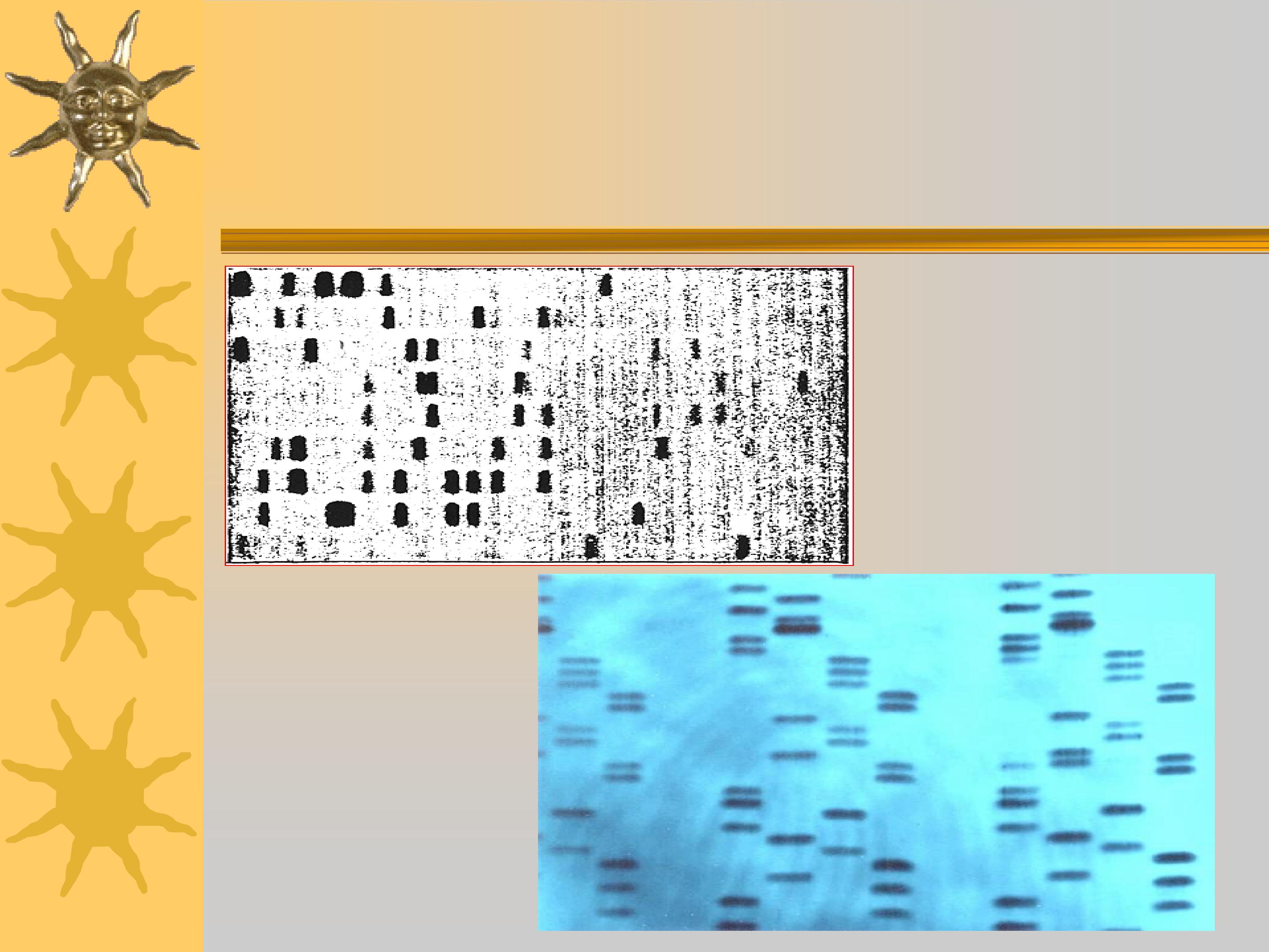 69.jpg