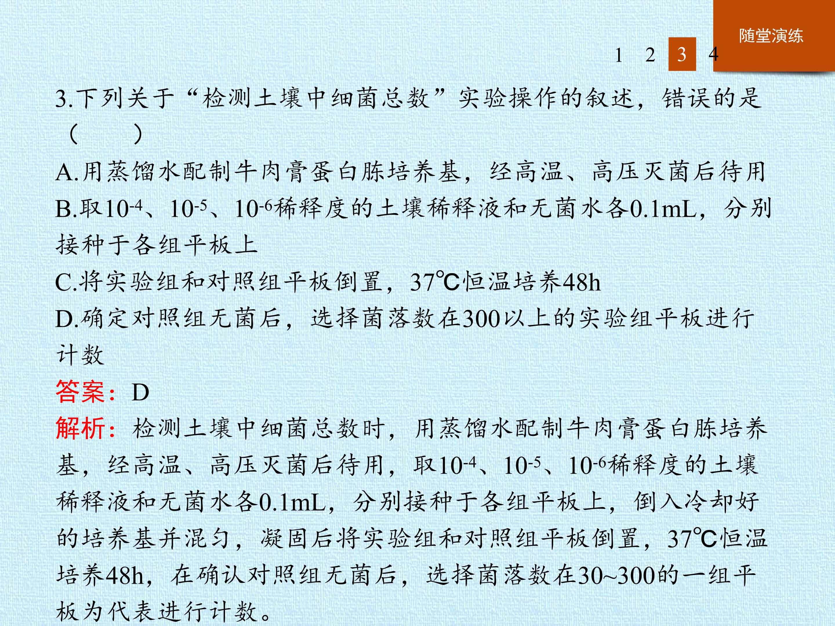 62.jpg