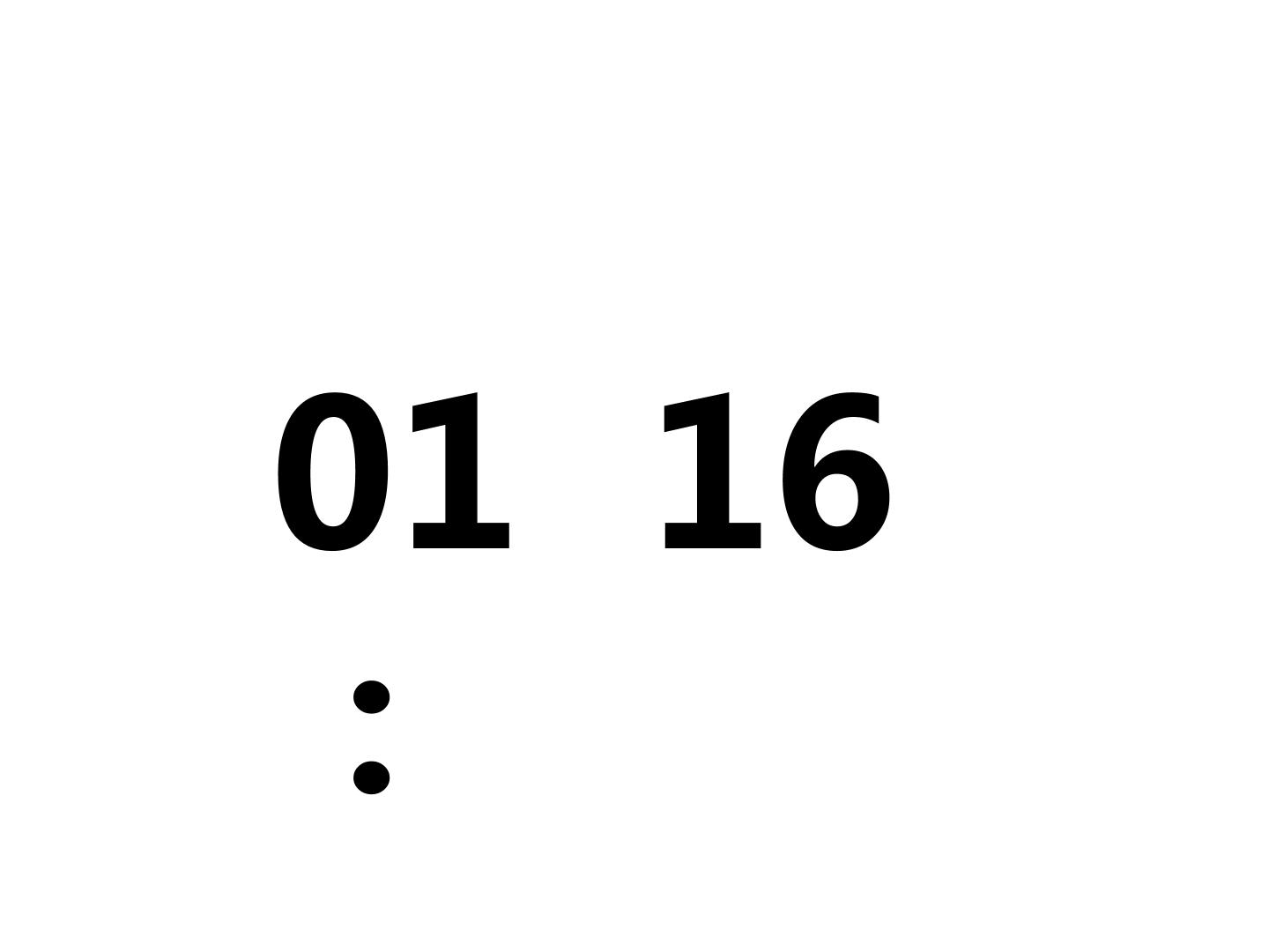 79.jpg
