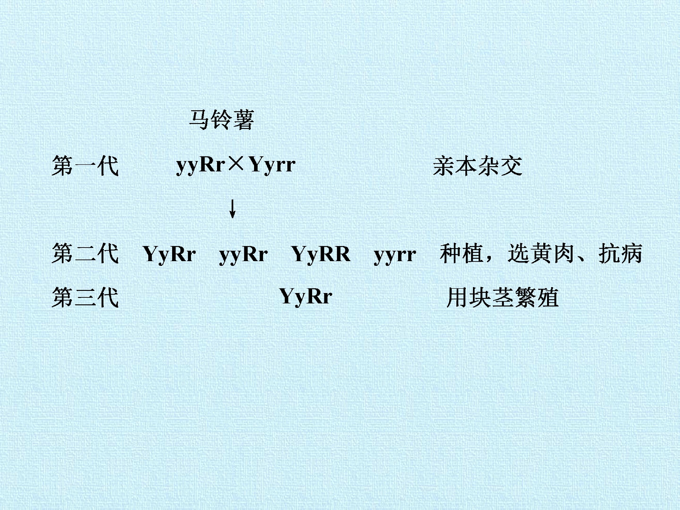 105.jpg