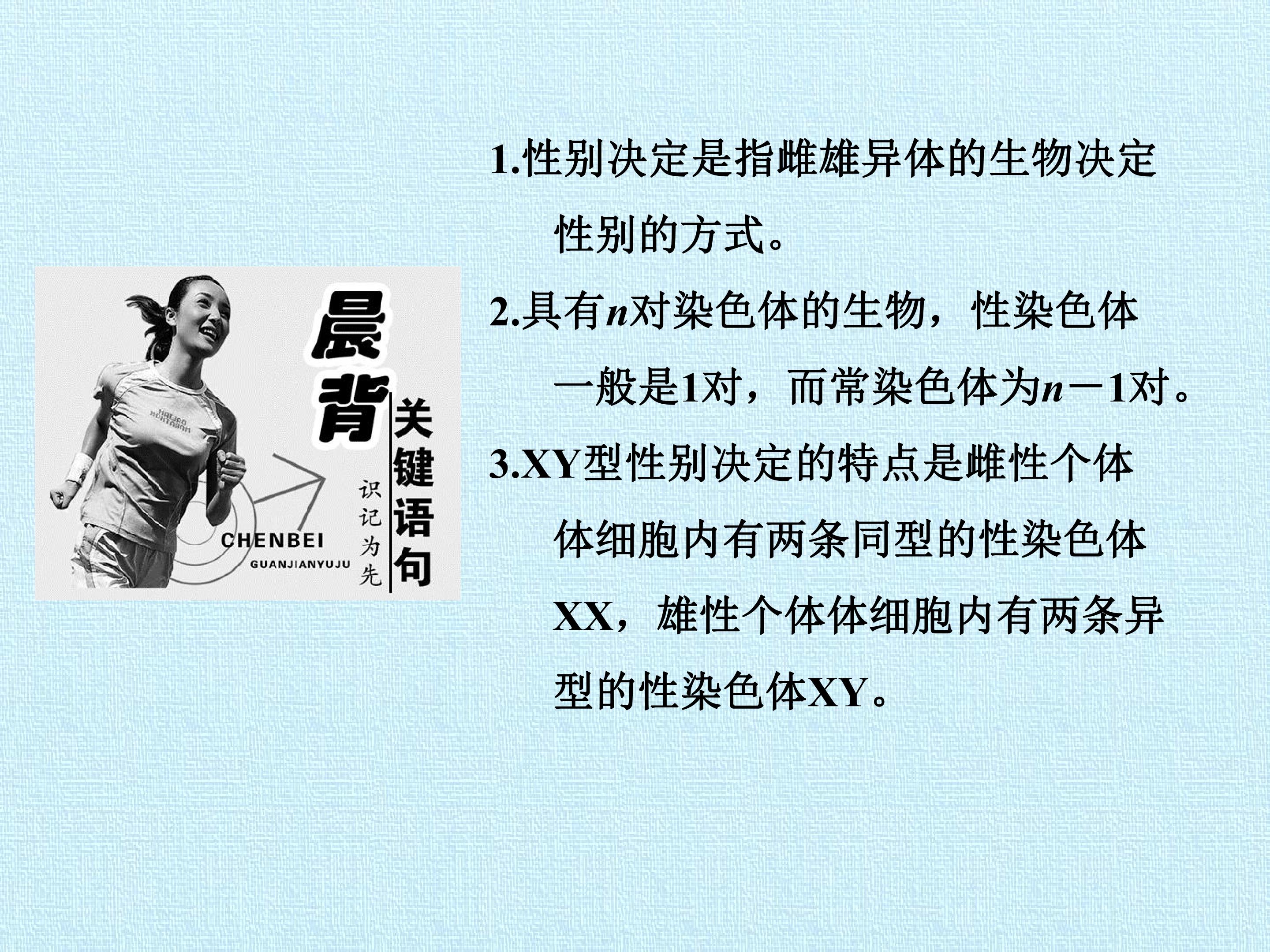 116.jpg