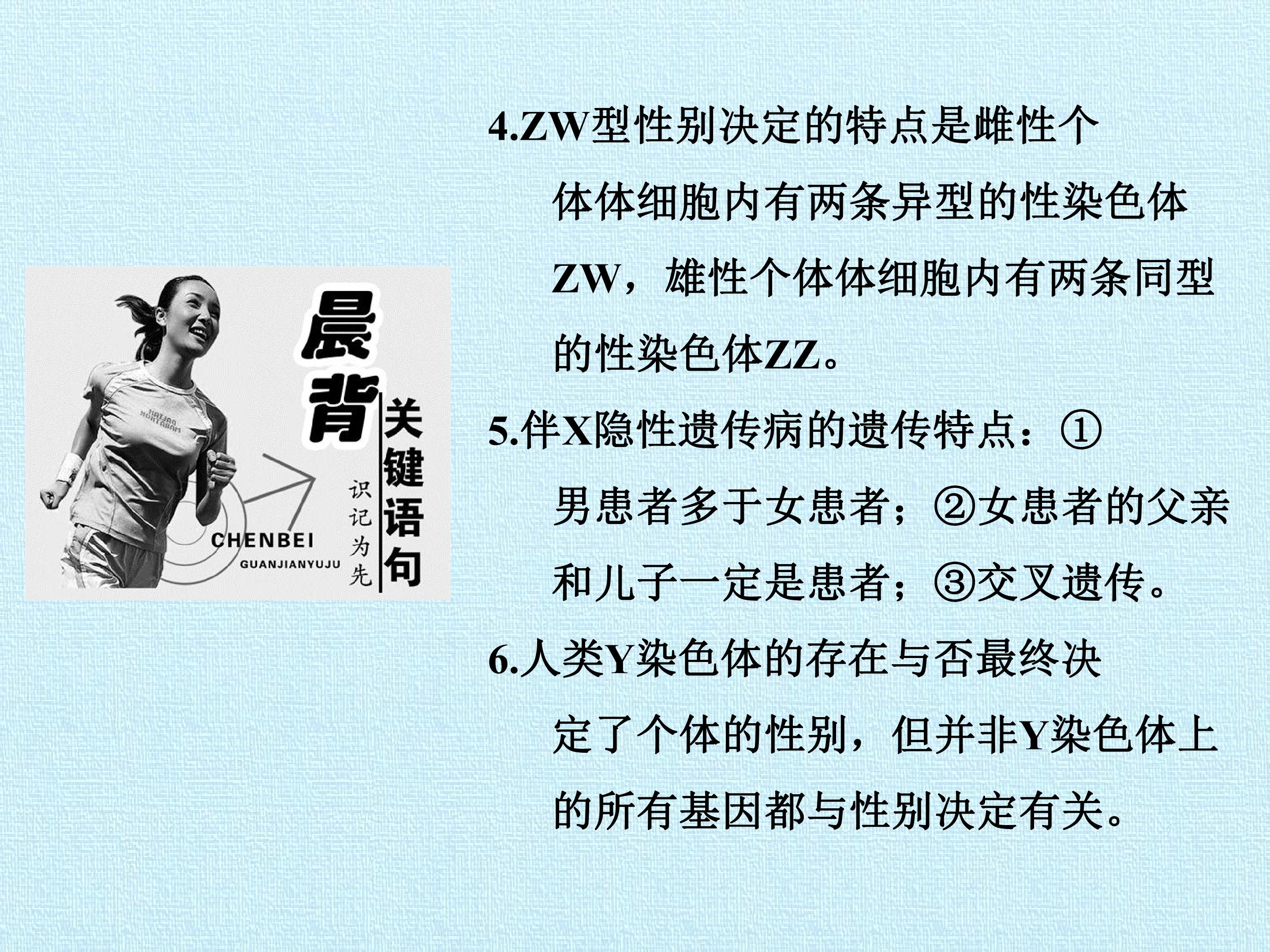 117.jpg