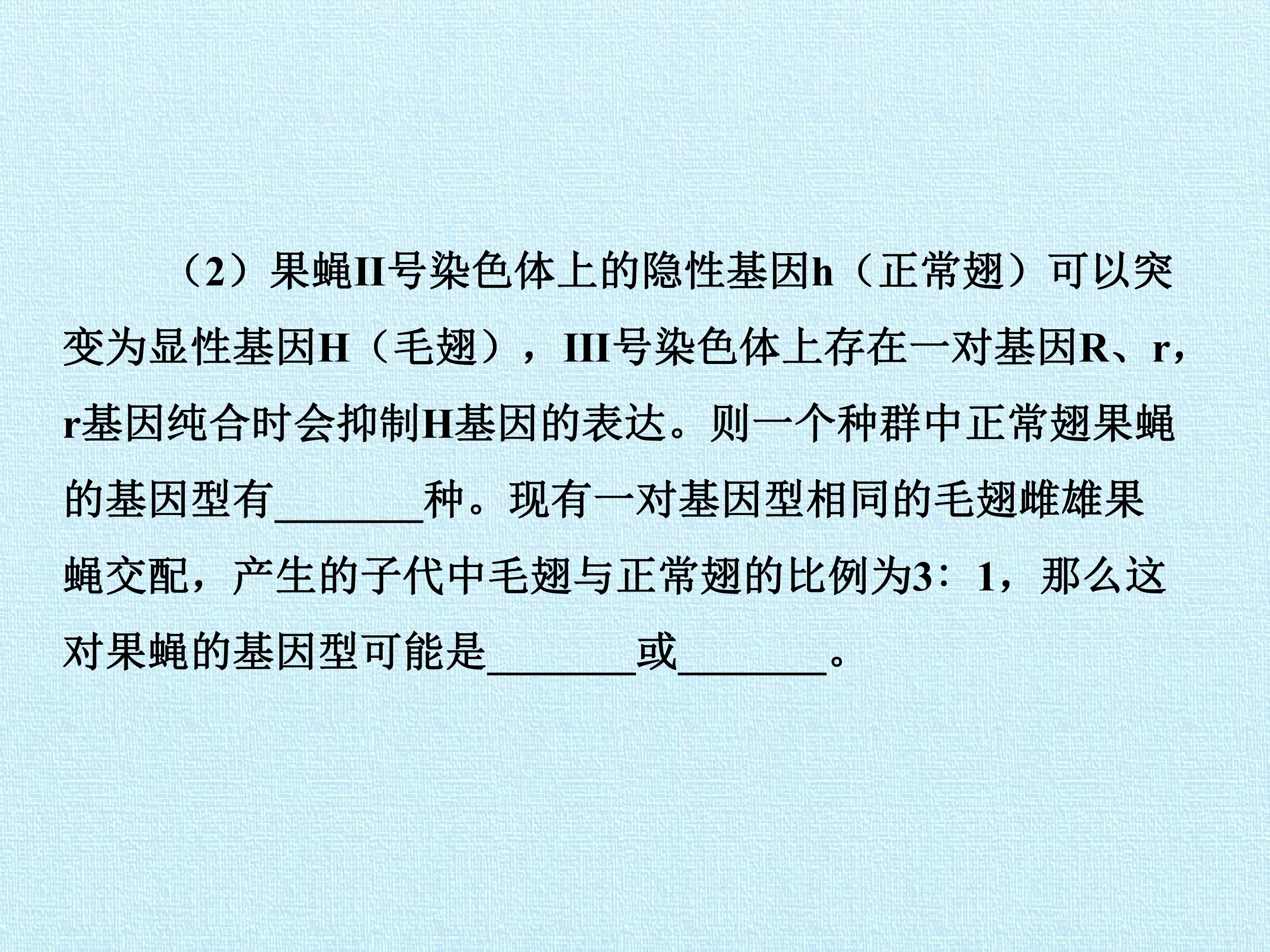 144.jpg