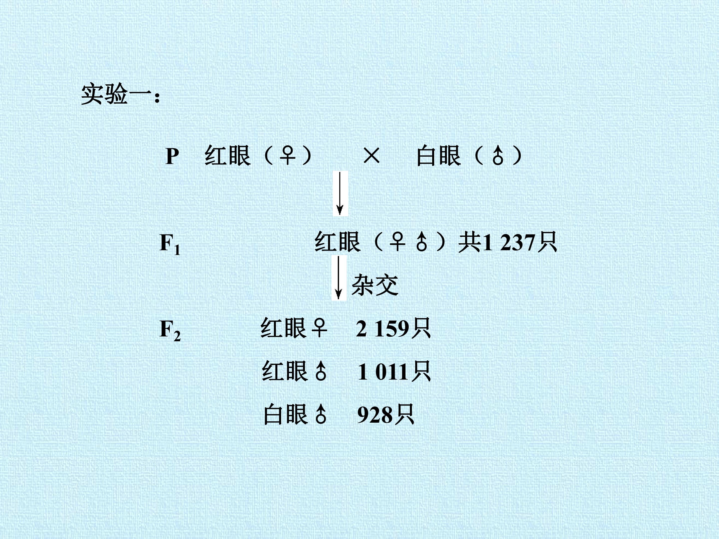 155.jpg