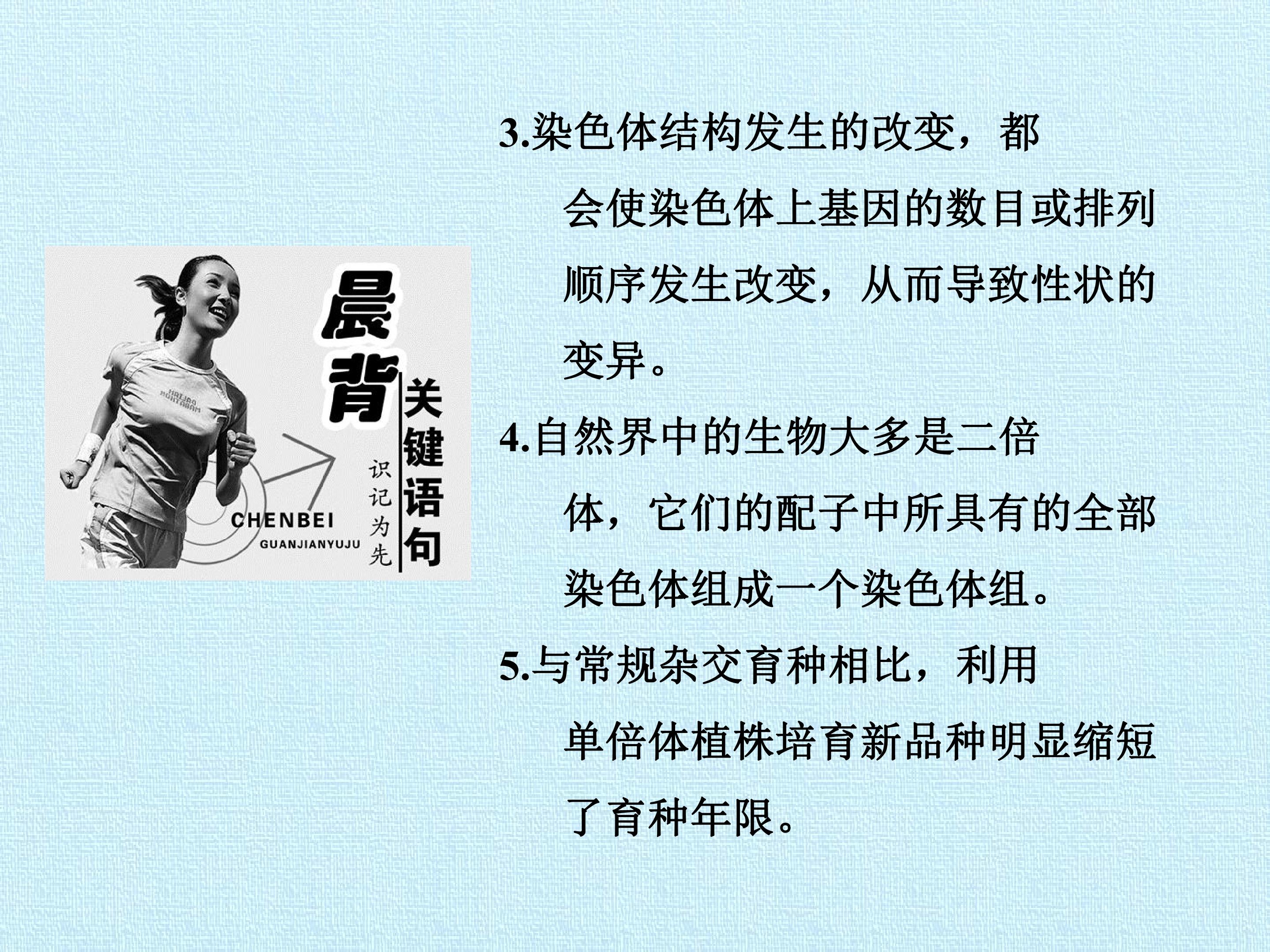 167.jpg