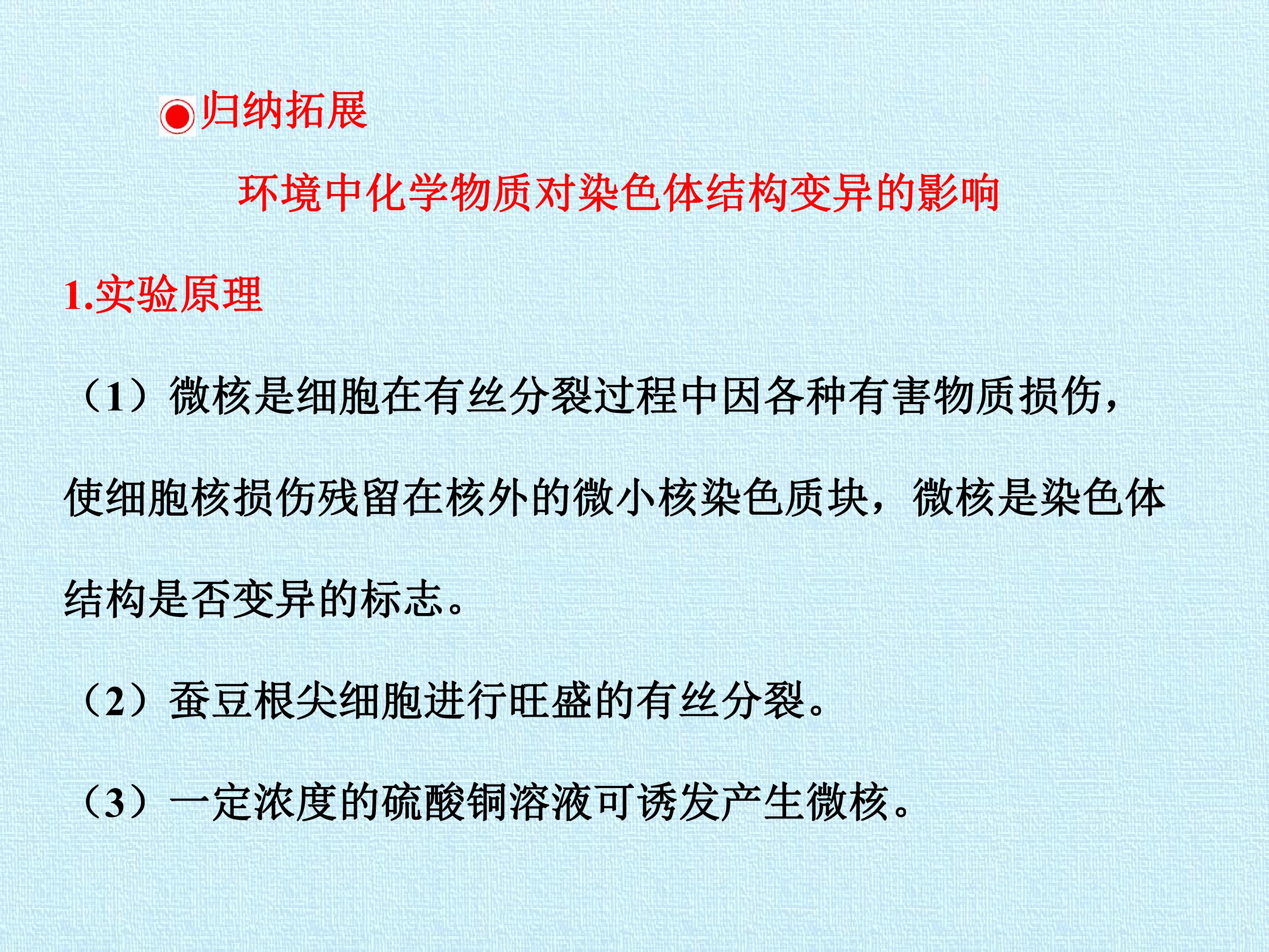 219.jpg
