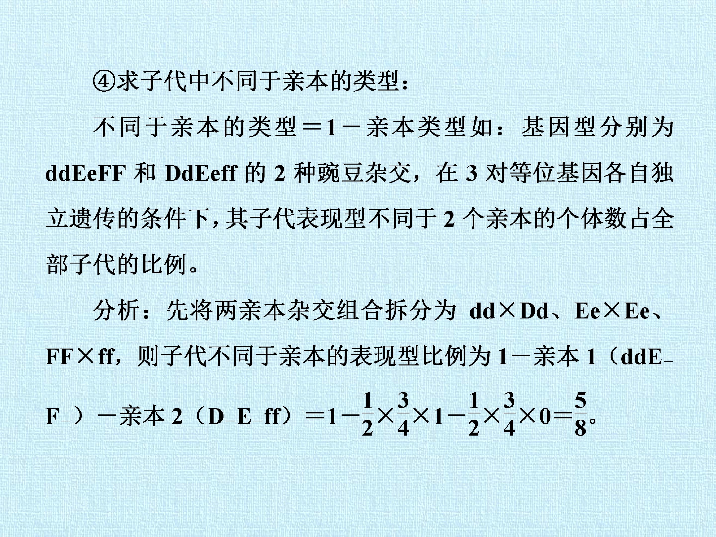73.jpg